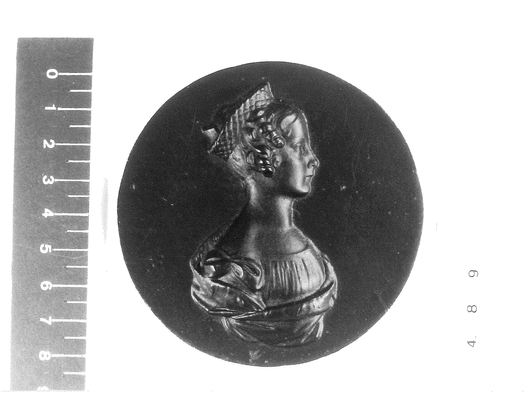 Bildnismedaillon "Prinzessin Friederike v. Preußen" (Rheinisches Eisenkunstguss-Museum CC BY-NC-SA)