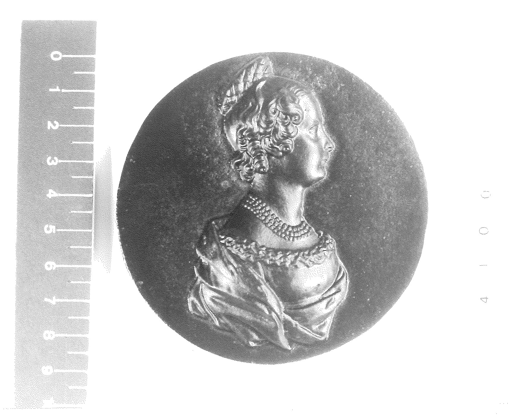 Bildnismedaillon "Prizessin Alexandrine v. Preußen" (Rheinisches Eisenkunstguss-Museum CC BY-NC-SA)