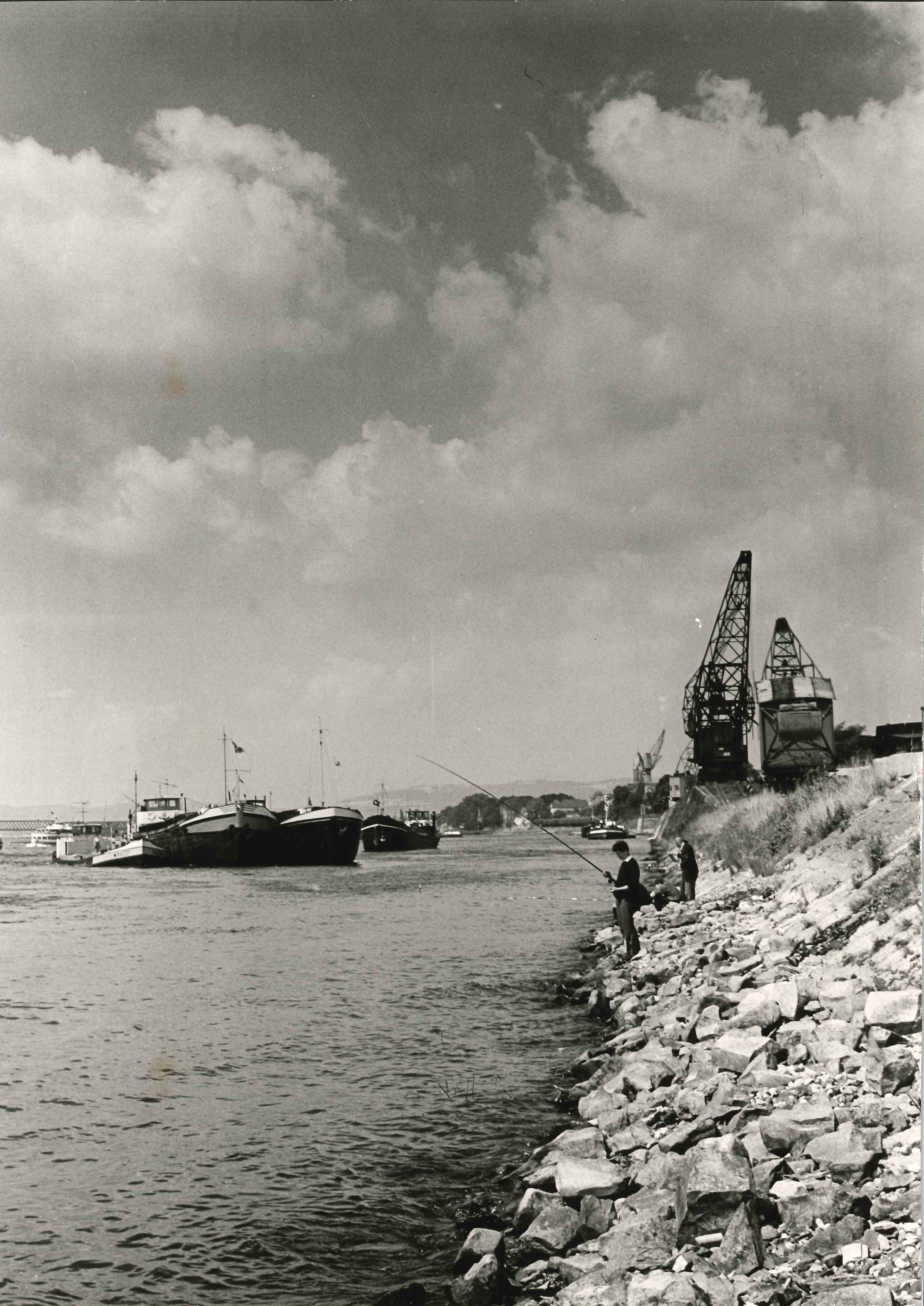 Blick auf den Bendorfer Rheinhafen, 1962 (REM CC BY-NC-SA)