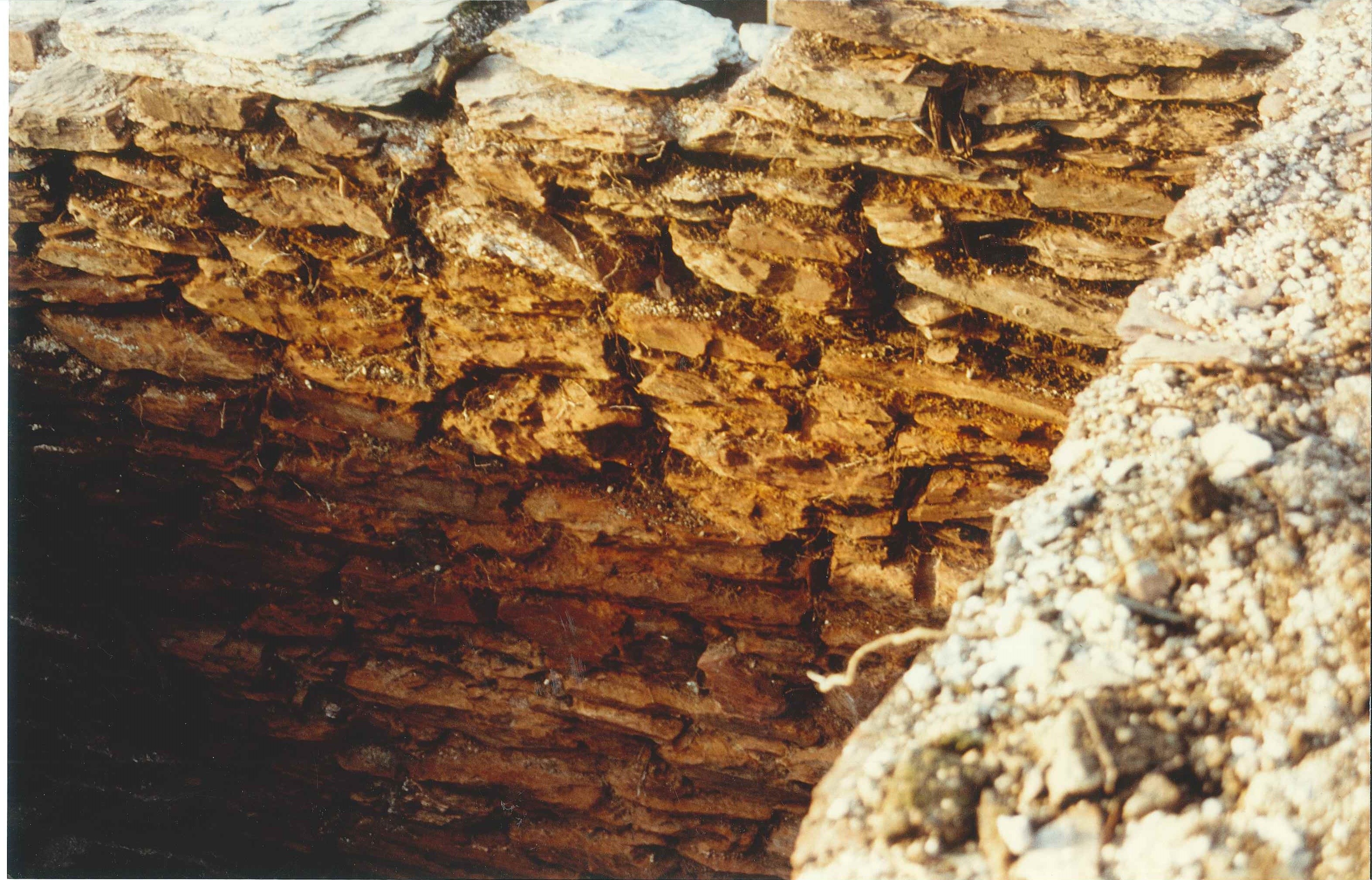 Eisenerz-Rostöfen der "Grube Werner" auf der Vierwindenhöhe, Bendorf, 1992 (REM CC BY-NC-SA)
