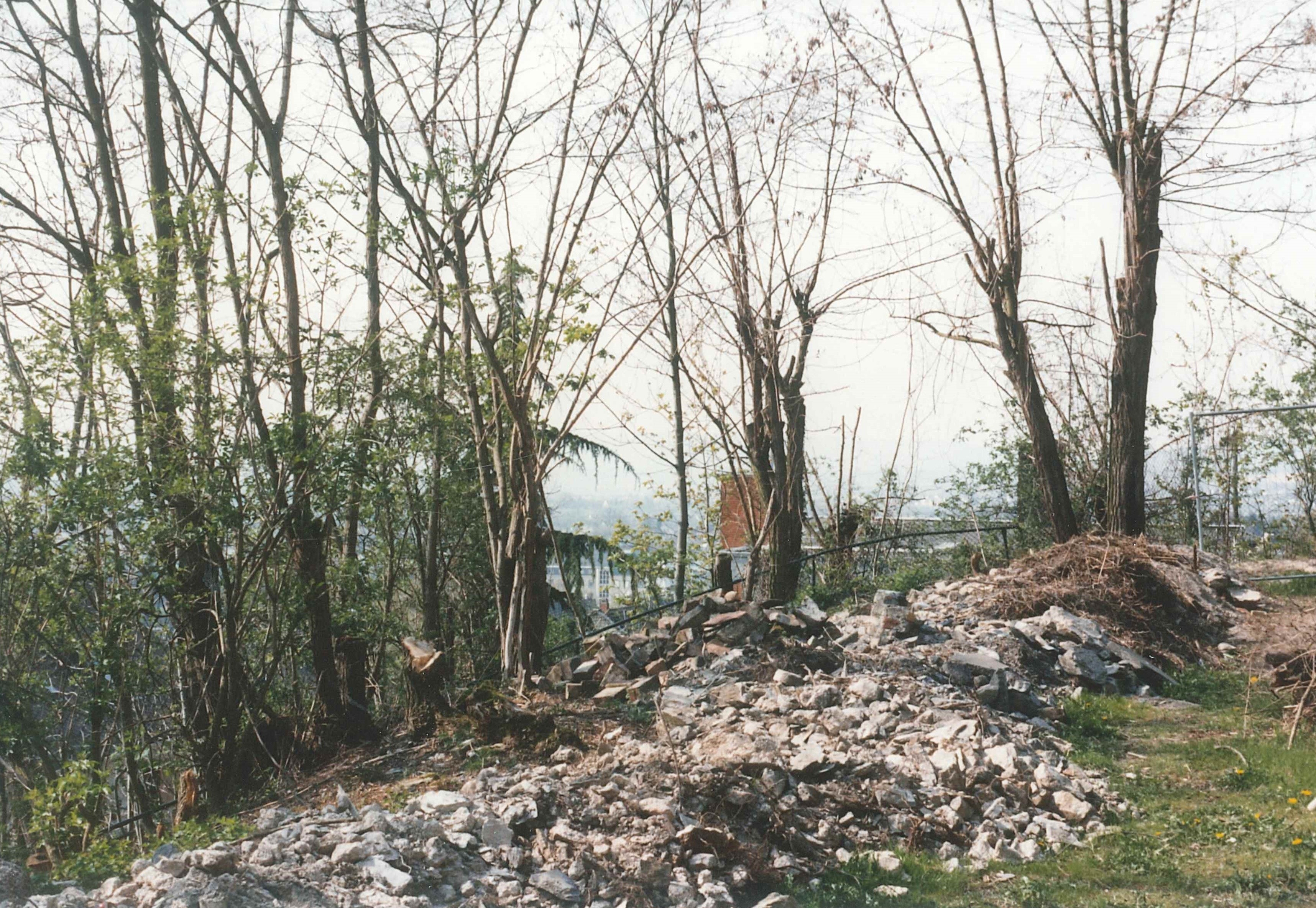 Eisenerz-Rostöfen der "Grube Werner" auf der Vierwindenhöhe, Bendorf, 1997 (REM CC BY-NC-SA)