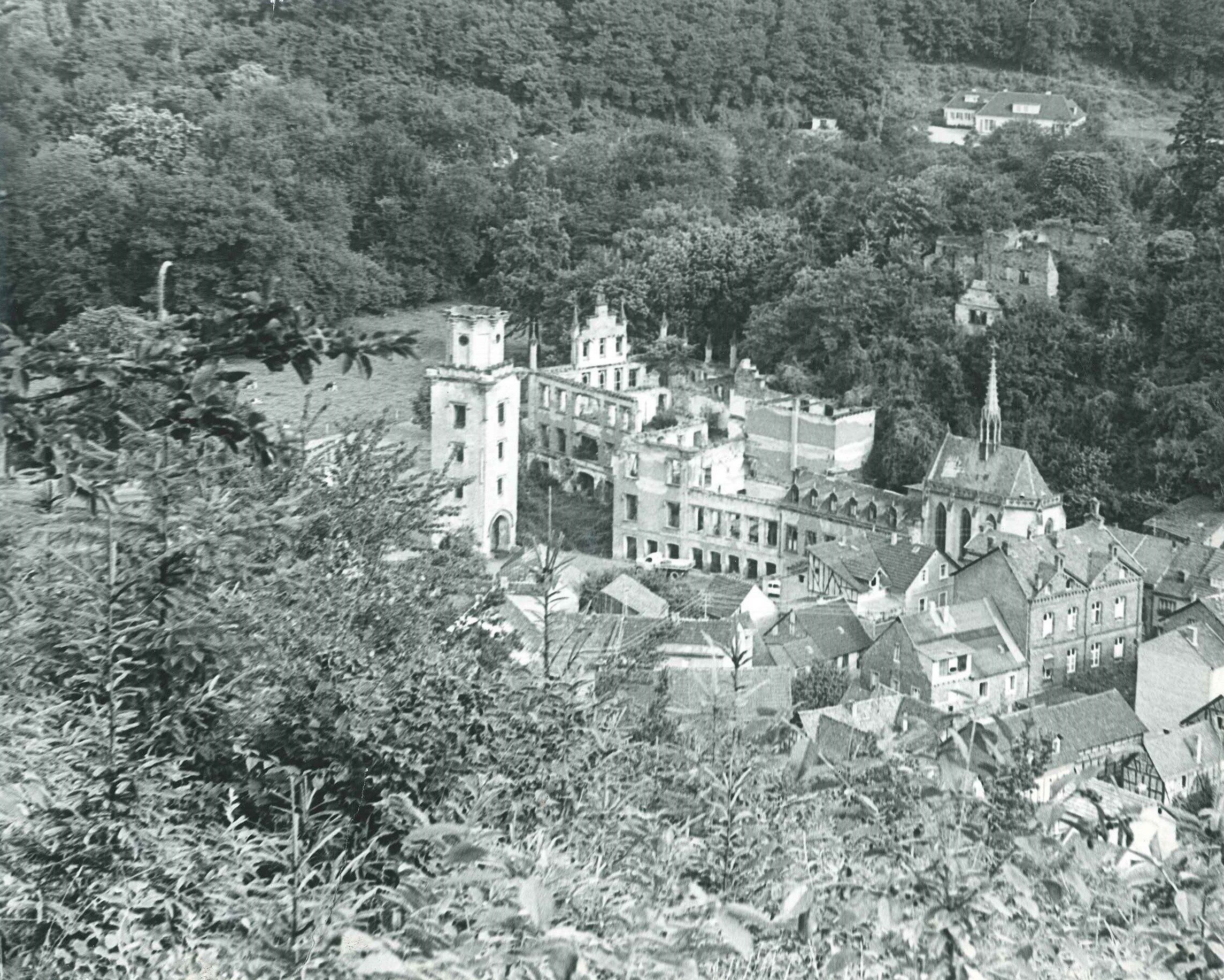 Luftaufnahme, Ruine von Schloß Sayn, 1955 (REM CC BY-NC-SA)