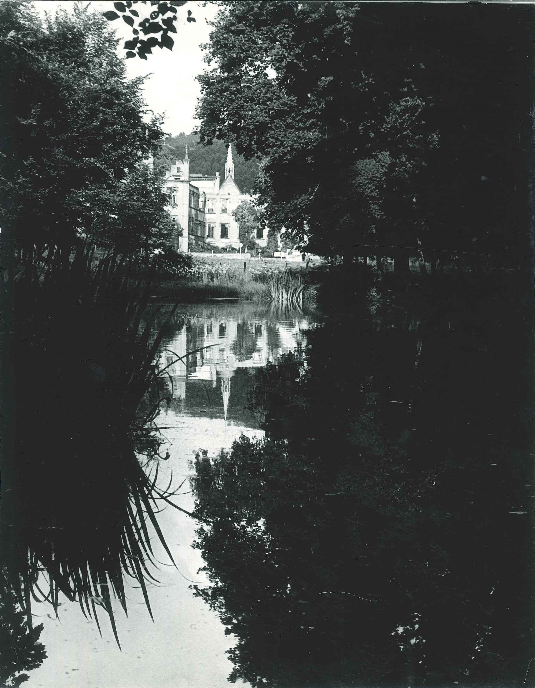 Schloss Sayn und Weiher im Schlosspark, Bendorf-Sayn, 1962 (REM CC BY-NC-SA)