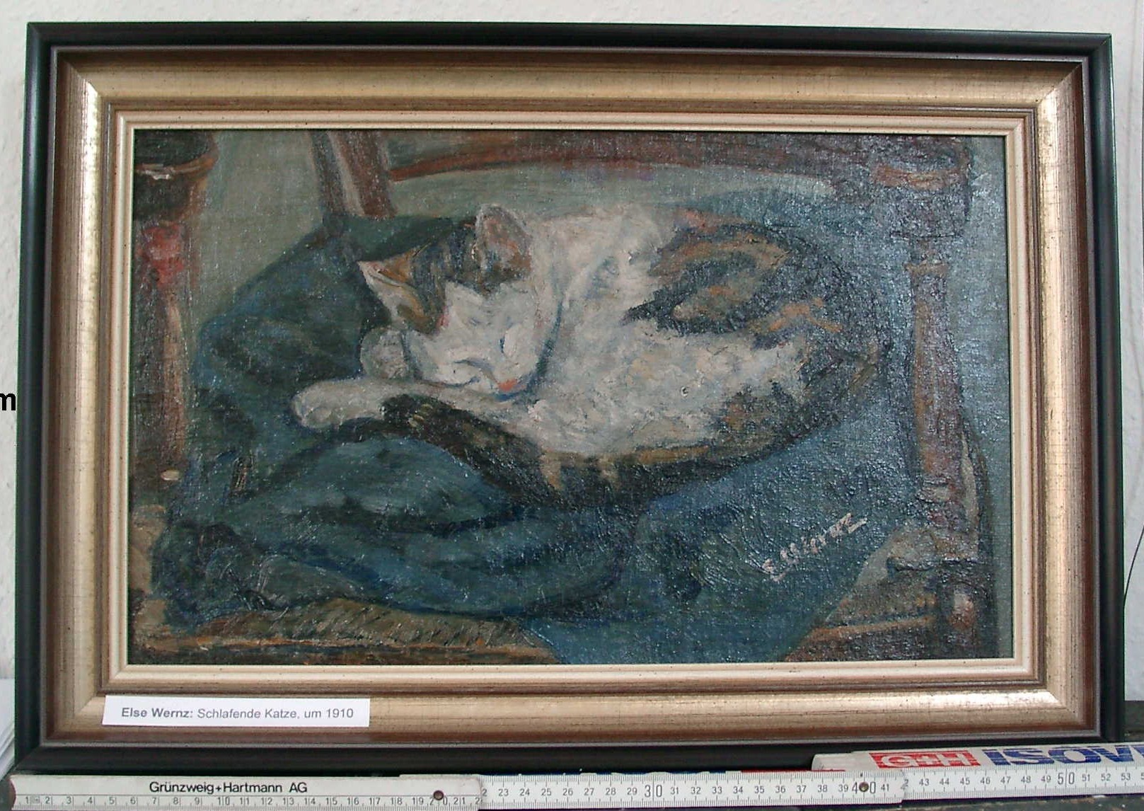Bild; Ölgemälde: "Schlafende Katze"; Else Wernz; um 1910 (Stadtmuseum Bad Dürkheim, Museumsgesellschaft Bad Dürkheim e.V. CC BY-NC-SA)