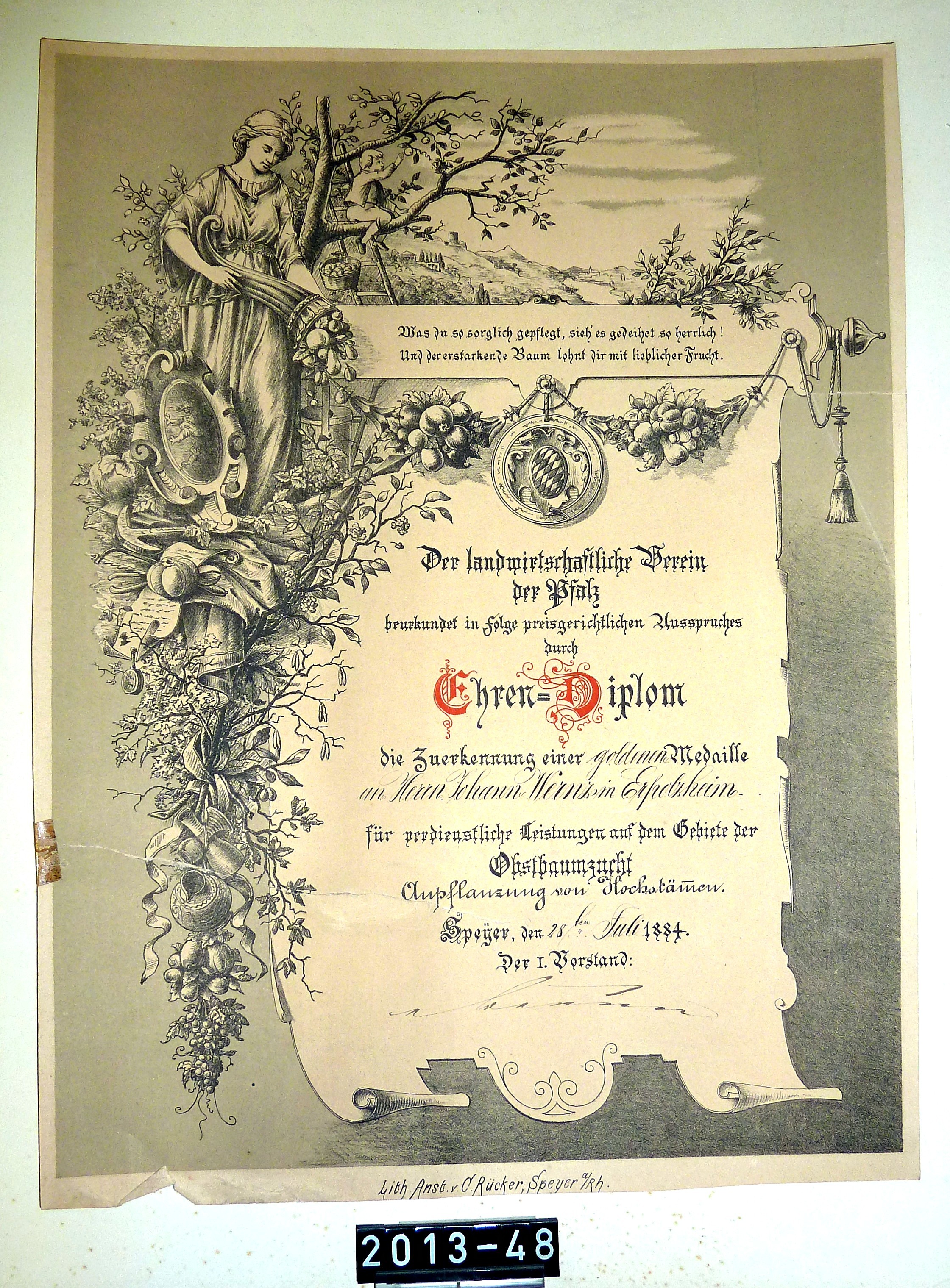Ehren-Diplom des landwirtschaftlichen Vereins der Pfalz für Joh. Wernz; Erpolzheim, 1884 (Stadtmuseum Bad Dürkheim, Museumsgesellschaft Bad Dürkheim e.V. CC BY-NC-SA)