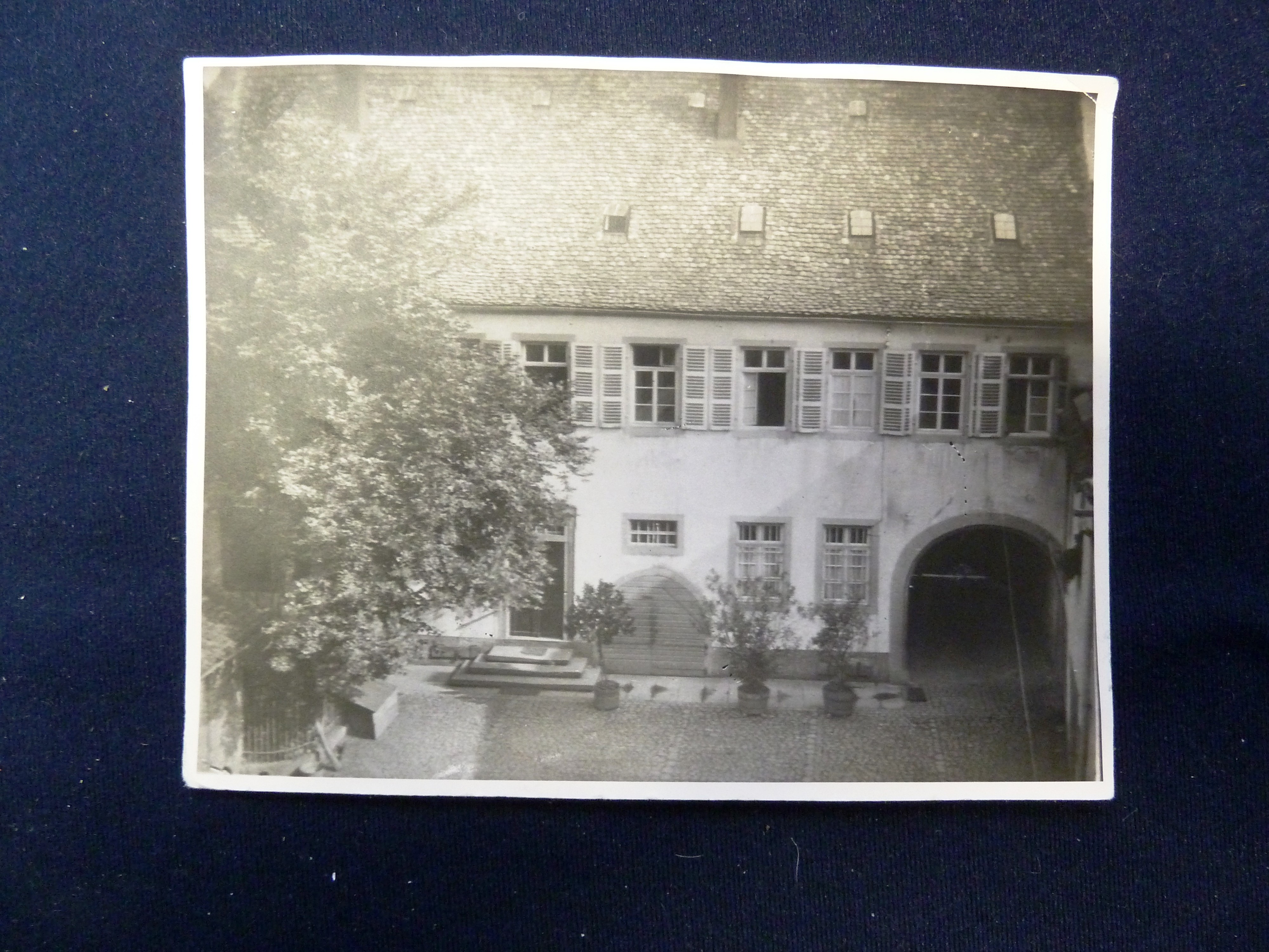 S-W-Bild; Fotografie von Haus, Anwesen; um 1910 (Stadtmuseum Bad Dürkheim, Museumsgesellschaft Bad Dürkheim e.V. CC BY-NC-SA)