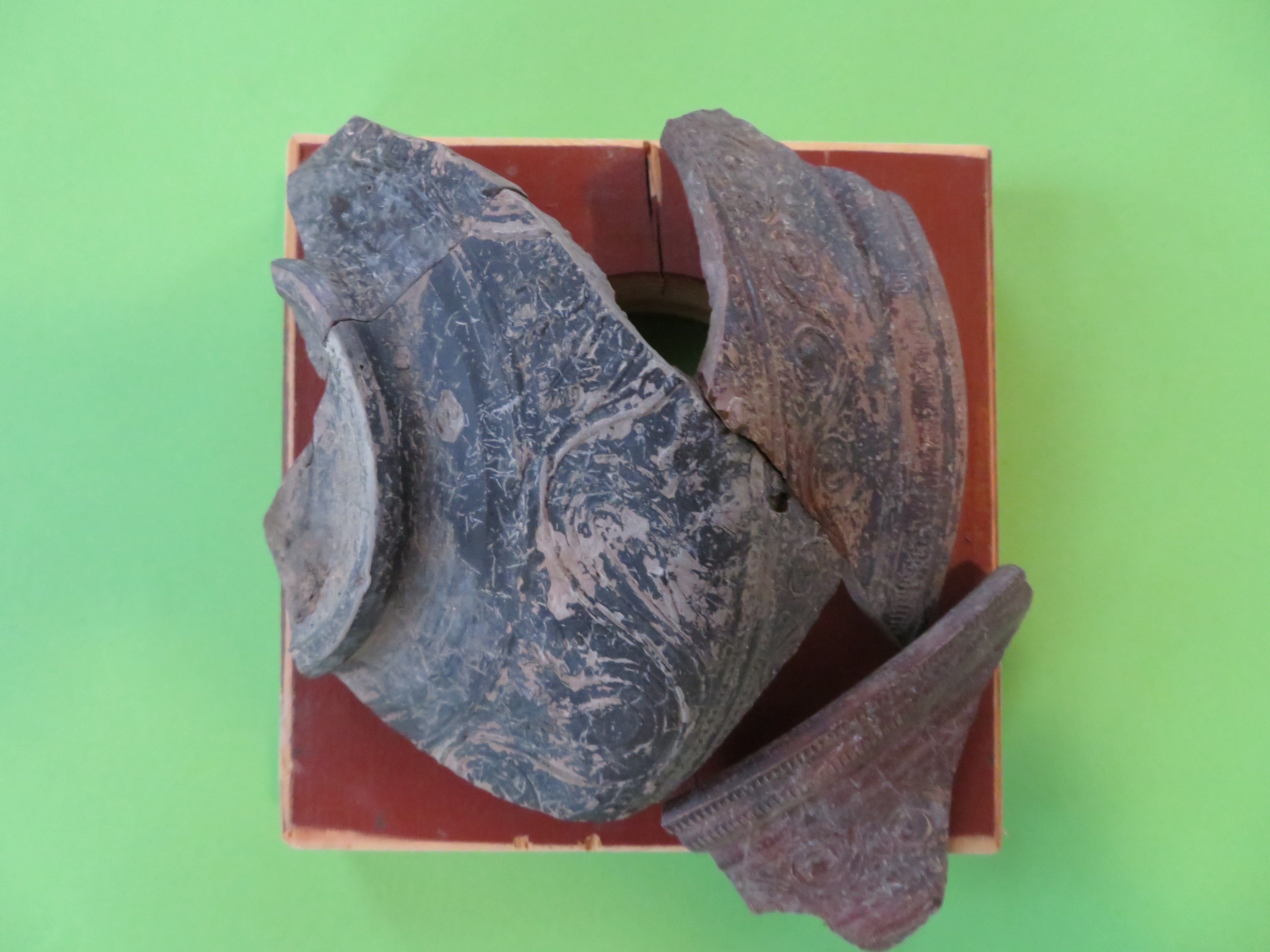 Fragmente einer Terra-Sigillata-Schale (Heimatmuseum Schloss Sinzig CC BY-NC-SA)