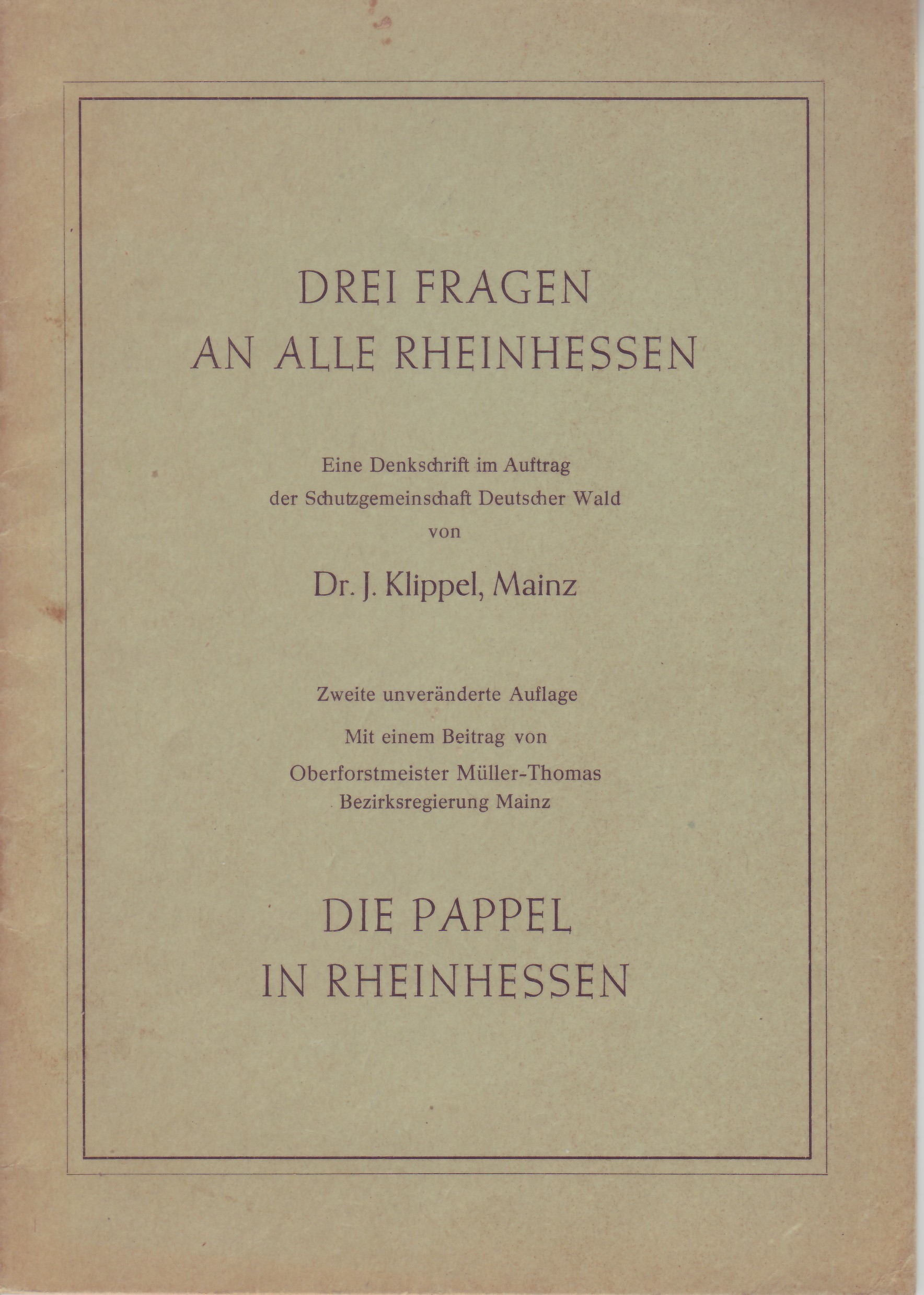 Die Pappel in Rheinhessen (Kulturverein Guntersblum CC BY-NC-SA)