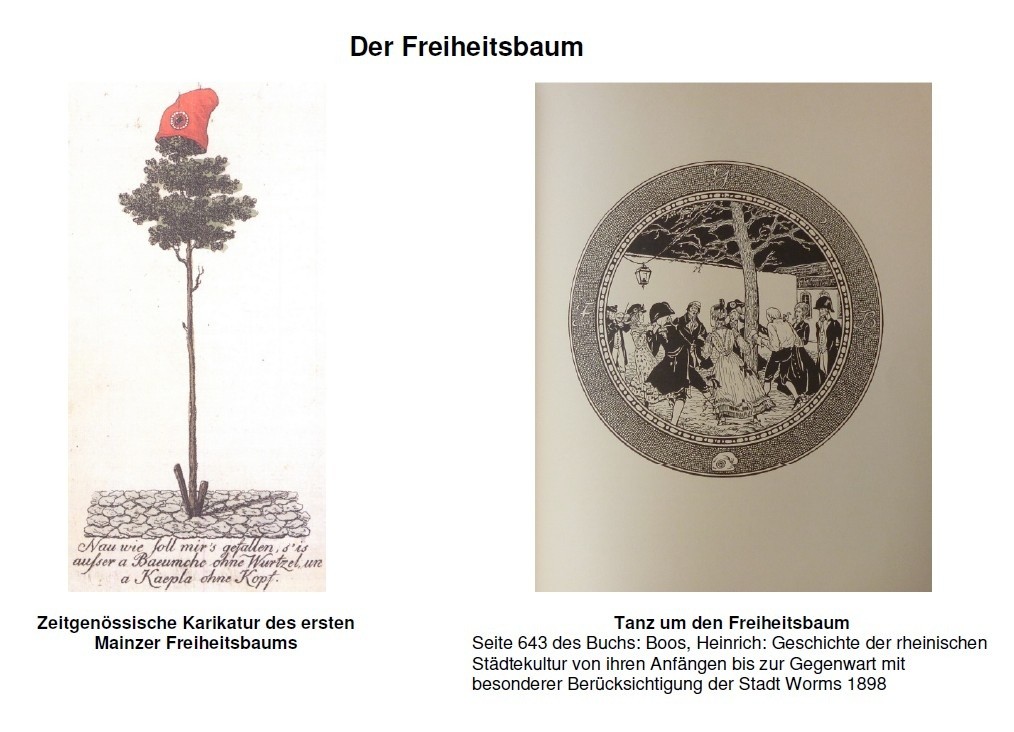 Freiheitsbaum (Kulturverein Guntersblum CC BY-NC-SA)