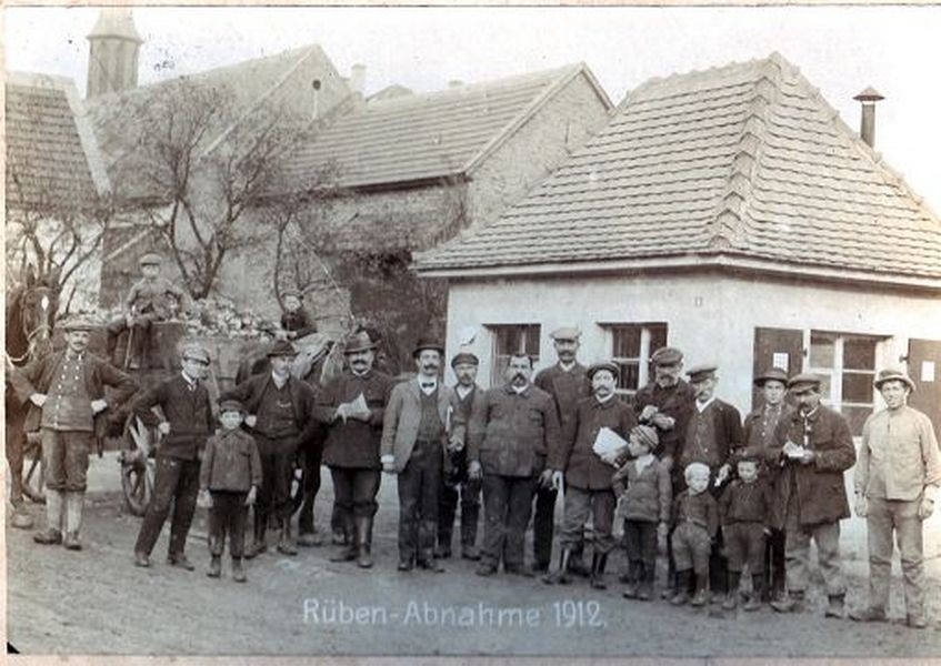 Rüben-Abnahme 1912 (Kulturverein Guntersblum CC BY-NC-SA)