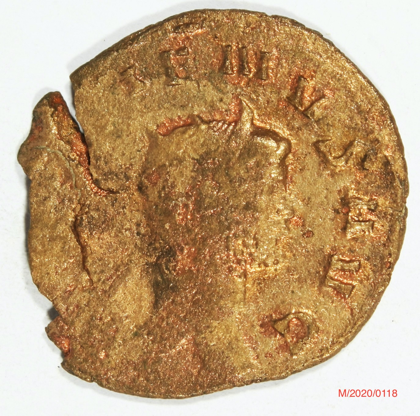 Römische Münze, Nominal Antoninian, Prägeherr Gallienus, Prägeort Rom ,Original (Museumsgesellschaft Bad Dürkheim e.V. CC BY-NC-SA)