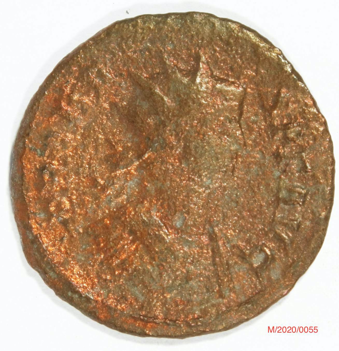 Römische Münze, Nominal Antoninian, Prägeherr Probus, Prägeort Rom , Original (Museumsgesellschaft Bad Dürkheim e.V. CC BY-NC-SA)