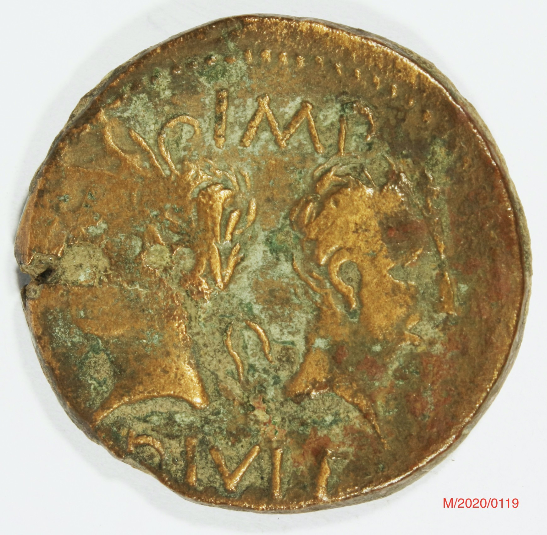 Römische Münze, Nominal As, Prägeherr Augustus, Prägeort Nîmes , Original (Museumsgesellschaft Bad Dürkheim e.V. CC BY-NC-SA)