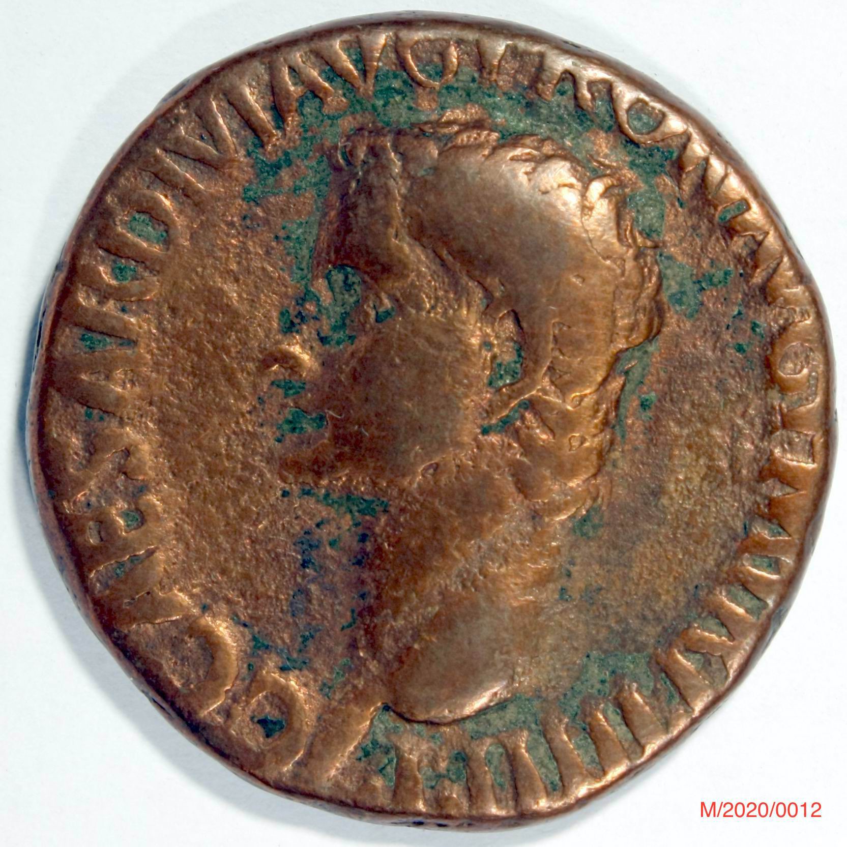 Römische Münze, Nominal As, Prägeherr Caligula, Prägeort Rom ,Original (Museumsgesellschaft Bad Dürkheim e.V. CC BY-NC-SA)