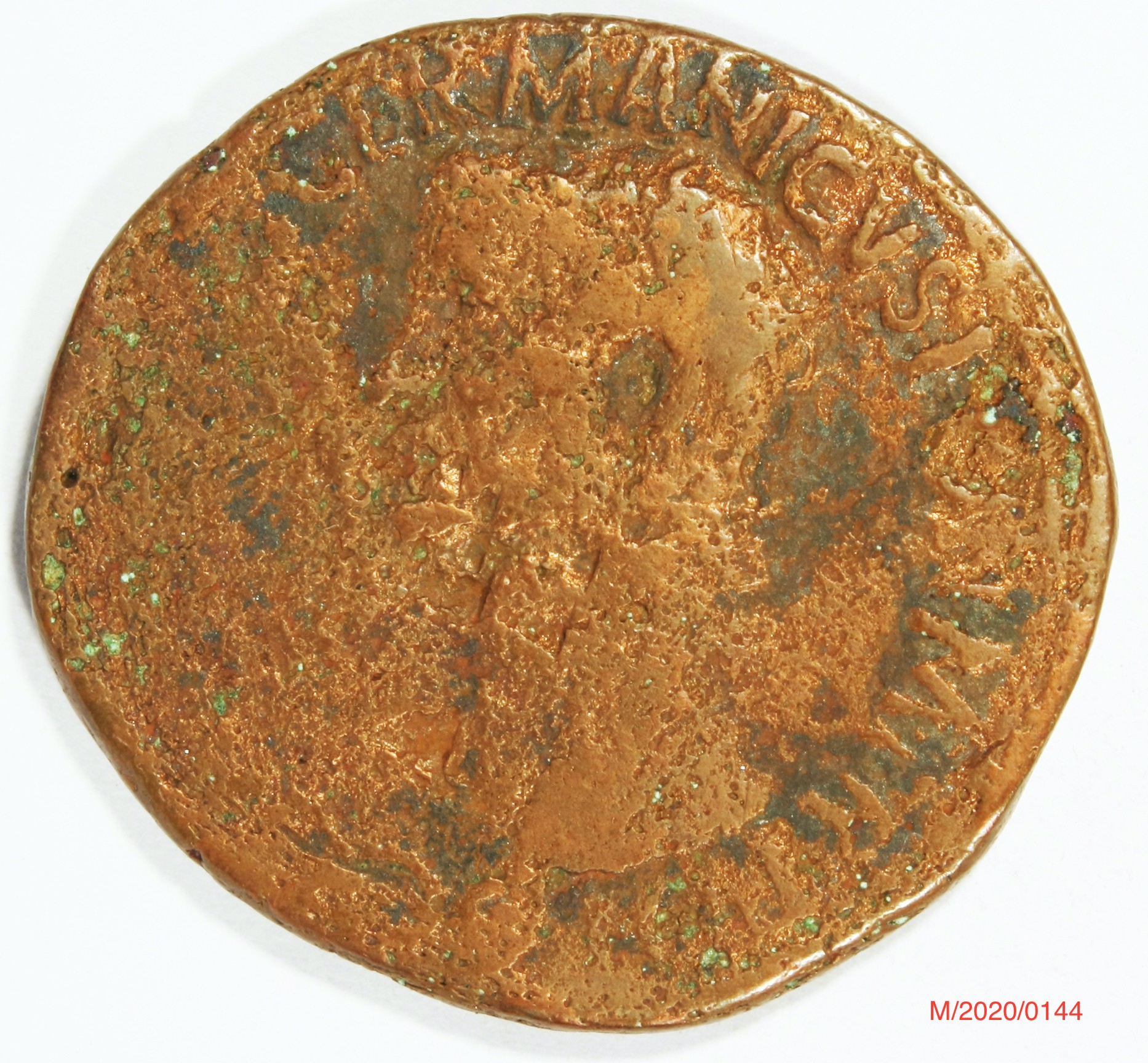Römische Münze, Nominal As, Prägeherr Caligula, Prägeort Rom , Original (Museumsgesellschaft Bad Dürkheim e.V. CC BY-NC-SA)