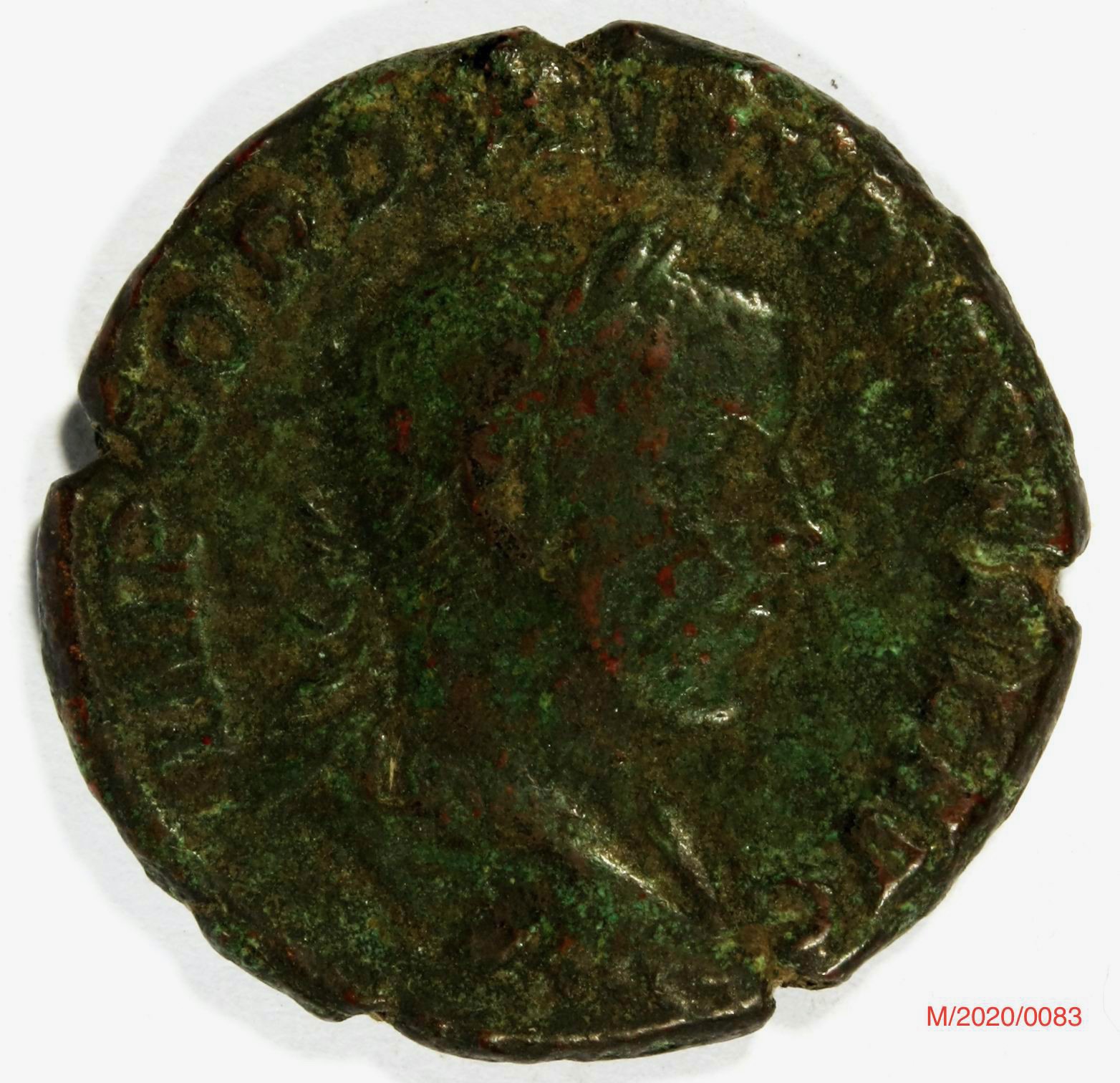 Römische Münze, Nominal As, Prägeherr Gordianus III., Prägeort Rom , Original (Museumsgesellschaft Bad Dürkheim e.V. CC BY-NC-SA)