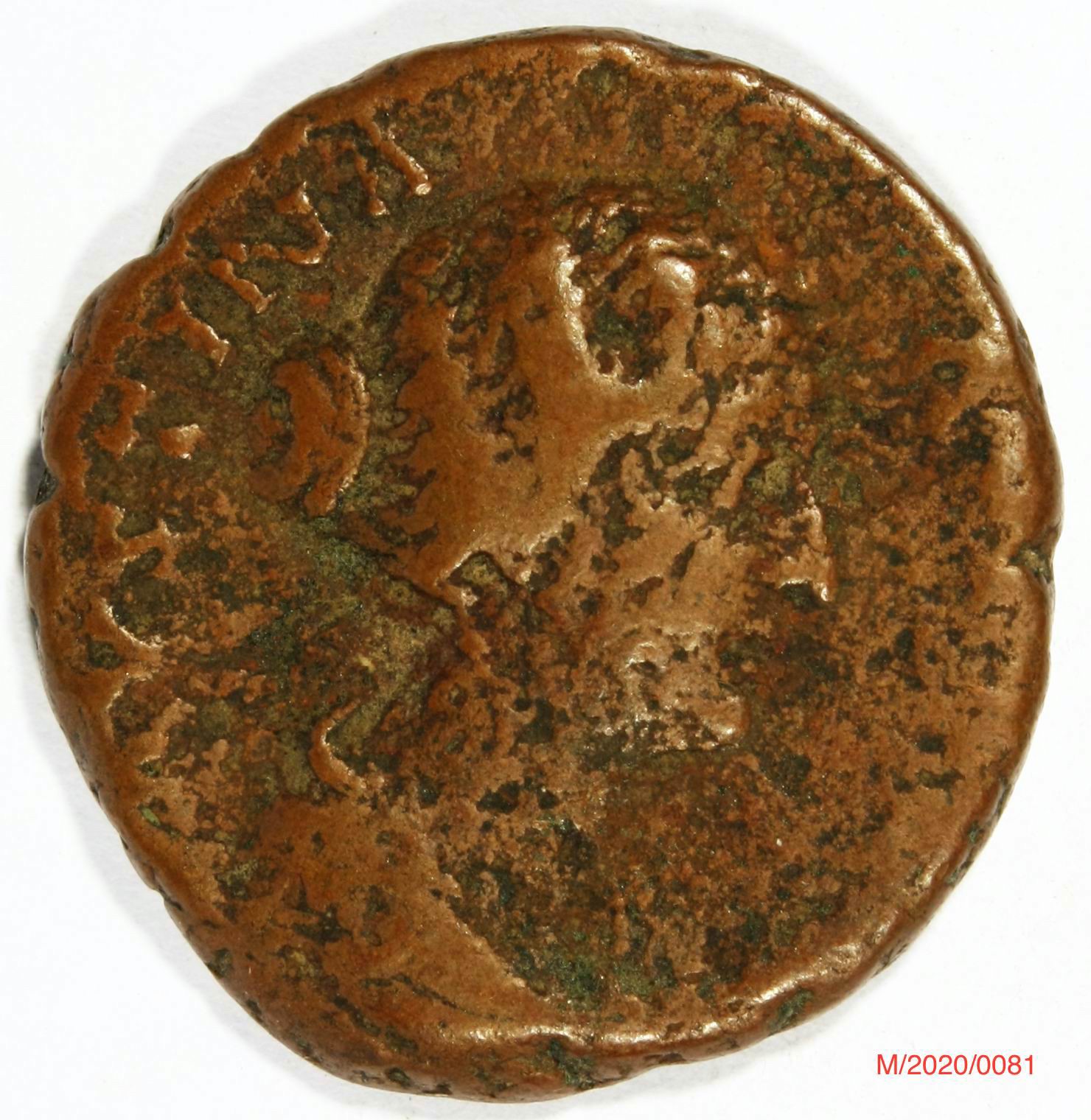 Römische Münze, Nominal As, Prägeherr Münzmeister M. Cocceius Nerva, Prägeort Rom , Original (Museumsgesellschaft Bad Dürkheim e.V. CC BY-NC-SA)