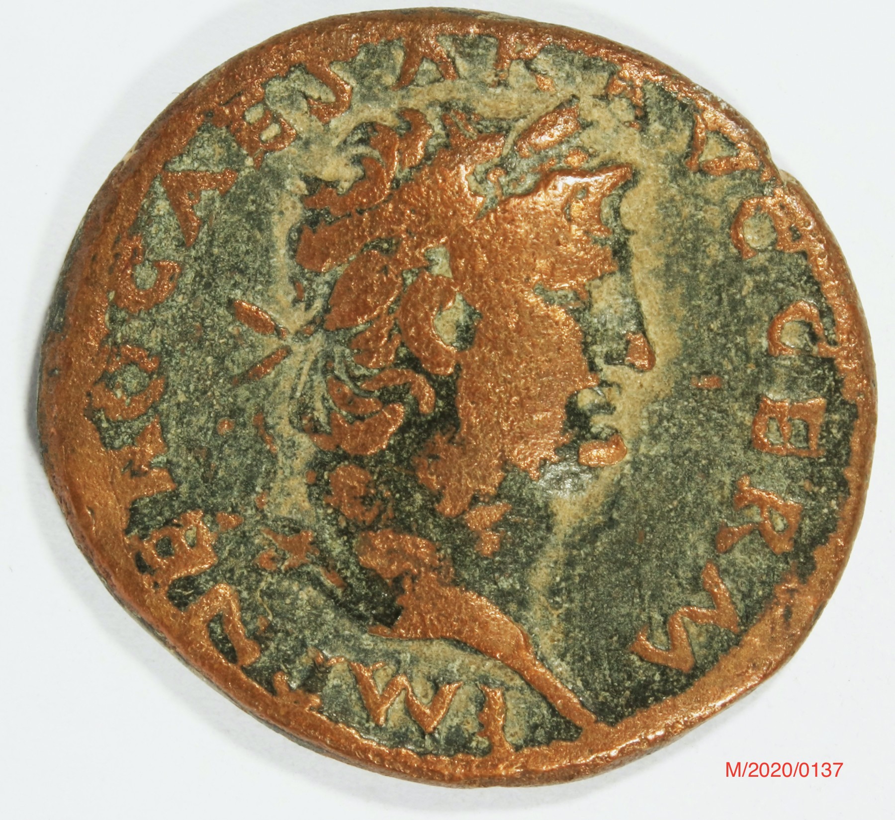 Römische Münze, Nominal As, Prägeherr Nero, Prägeort Rom , Original (Museumsgesellschaft Bad Dürkheim e.V. CC BY-NC-SA)