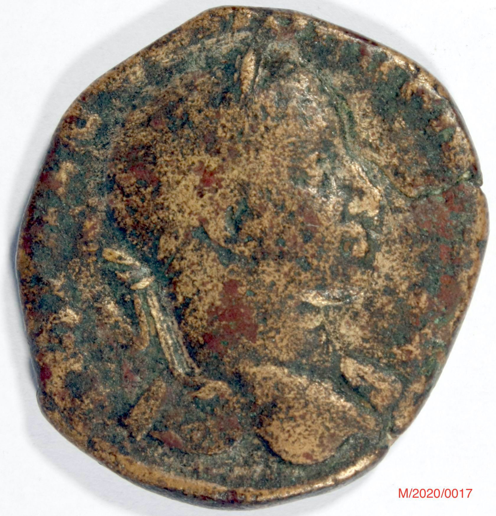 Römische Münze, Nominal As, Prägeherr Severus Alexander, Prägeort Rom ,Original (Museumsgesellschaft Bad Dürkheim e.V. CC BY-NC-SA)