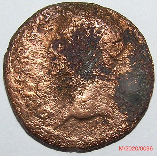 Römische Münze, Nominal As, Prägeherr Tiberius, Prägeort Rom , Original (Museumsgesellschaft Bad Dürkheim e.V. CC BY-NC-SA)