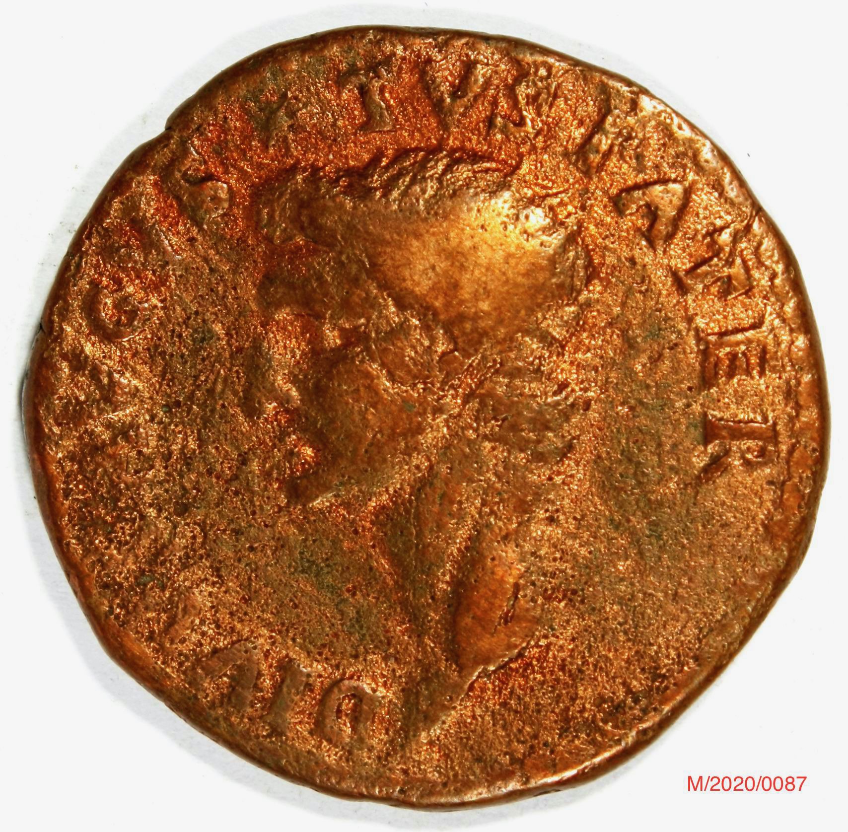 Römische Münze, Nominal As, Prägeherr Titus, Prägeort Rom , Original (Museumsgesellschaft Bad Dürkheim e.V. CC BY-NC-SA)