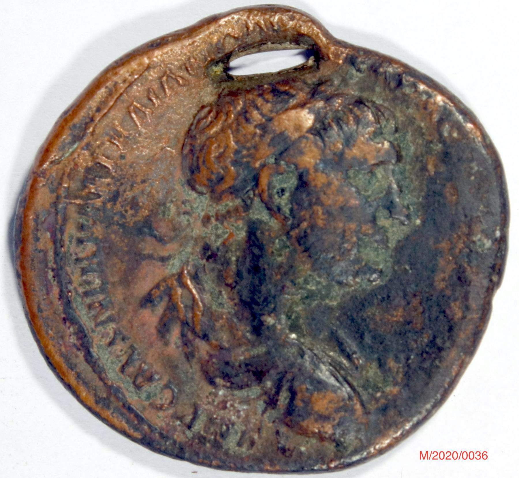 Römische Münze, Nominal As, Prägeherr Traian, Prägeort Rom , Original (Museumsgesellschaft Bad Dürkheim e.V. CC BY-NC-SA)