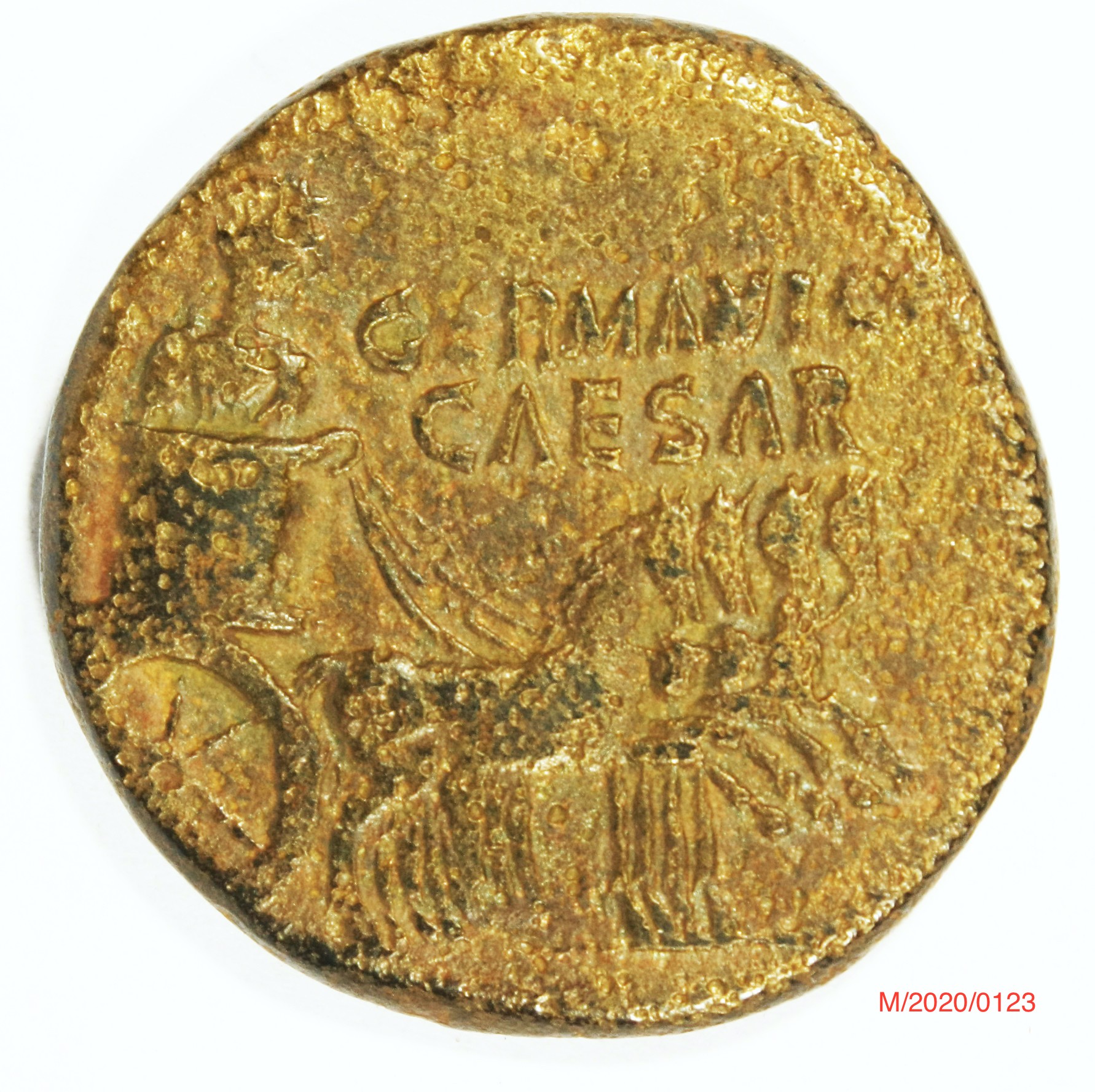 Römische Münze, Nominal Dupondius, Prägeherr Caligula, Prägeort Rom , Original (Museumsgesellschaft Bad Dürkheim e.V. CC BY-NC-SA)