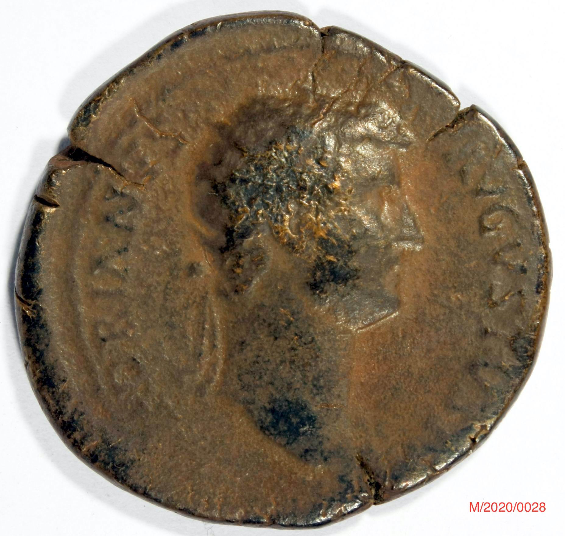 Römische Münze, Nominal Dupondius, Prägeherr Hadrian, Prägeort Rom , Original (Museumsgesellschaft Bad Dürkheim e.V. CC BY-NC-SA)