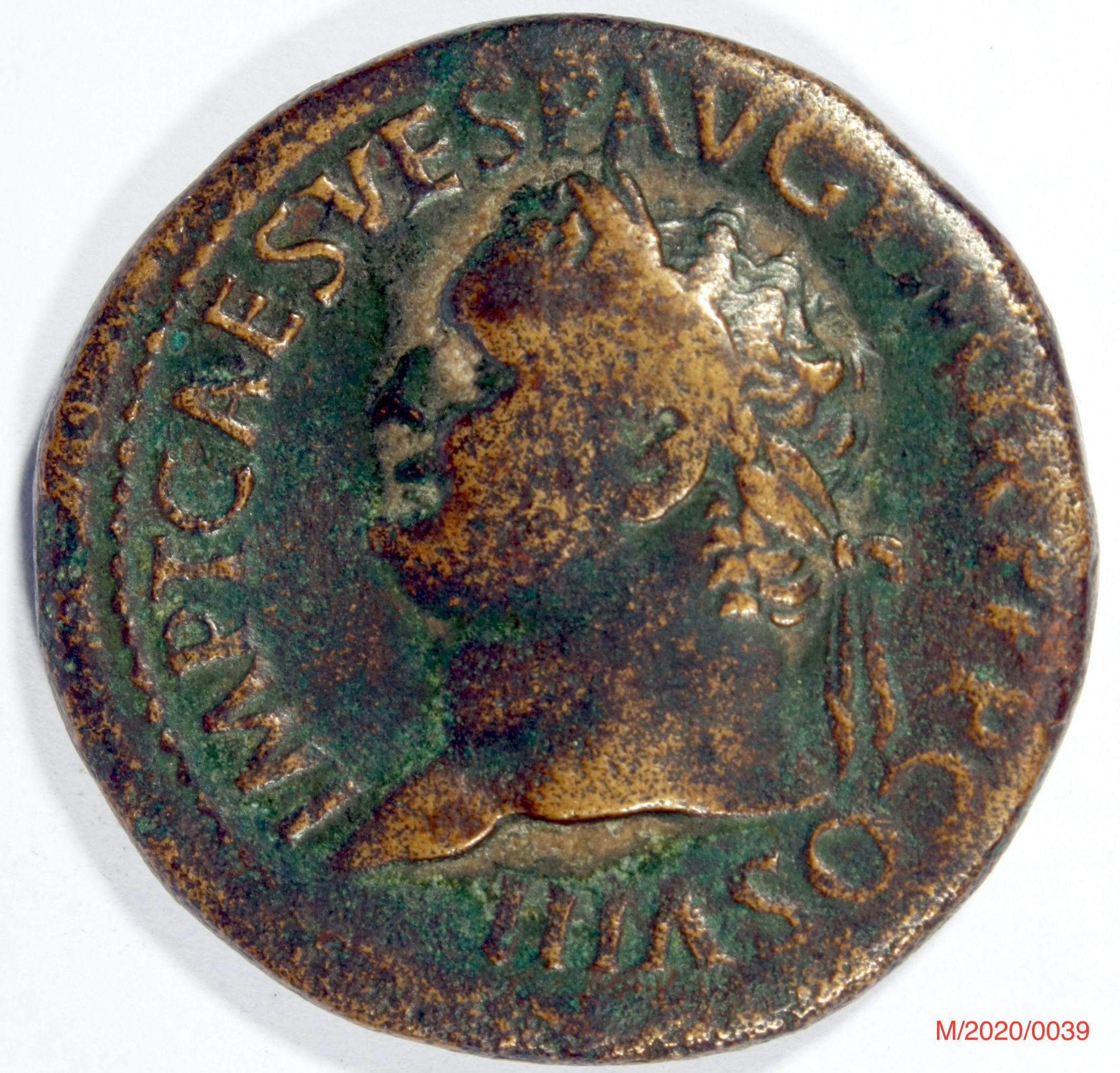 Römische Münze, Nominal Sesterz, Prägeherr Titus, Prägeort Rom , Original (Museumsgesellschaft Bad Dürkheim e.V. CC BY-NC-SA)