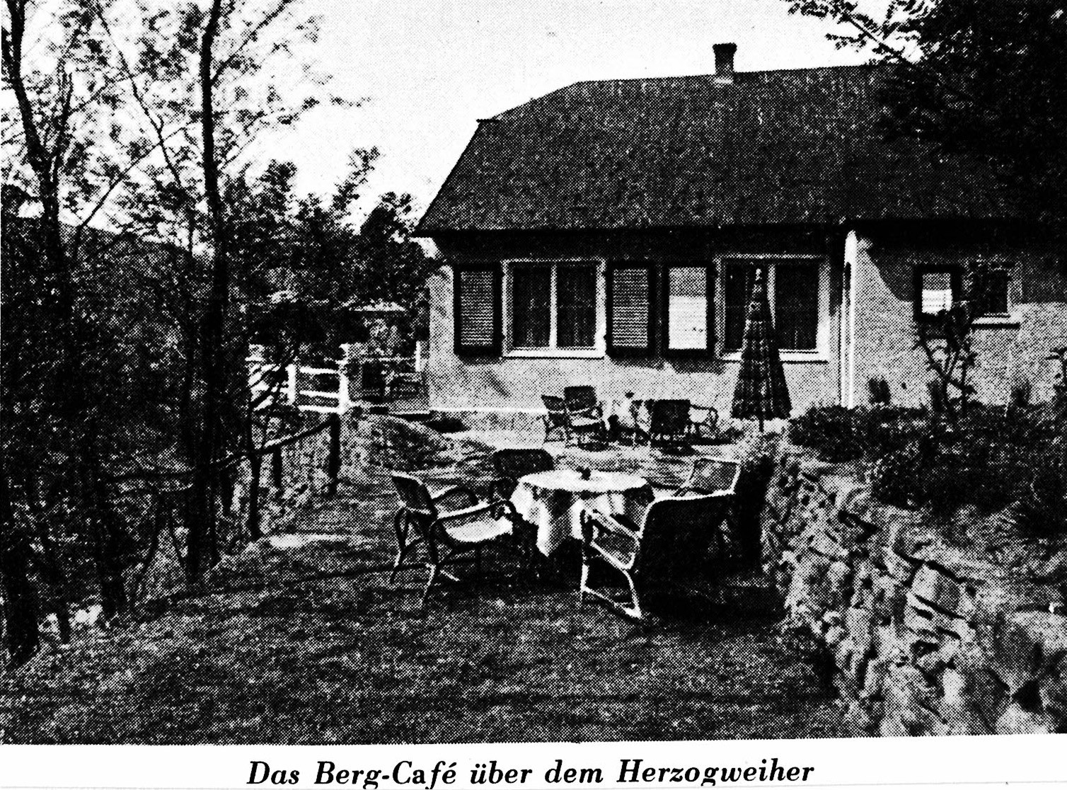 Foto-Sammlung Adolf Krapp, Ordner 13: Bergcafé Reißer, 1953 (Museumsgesellschaft Bad Dürkheim e.V. CC BY-NC-SA)