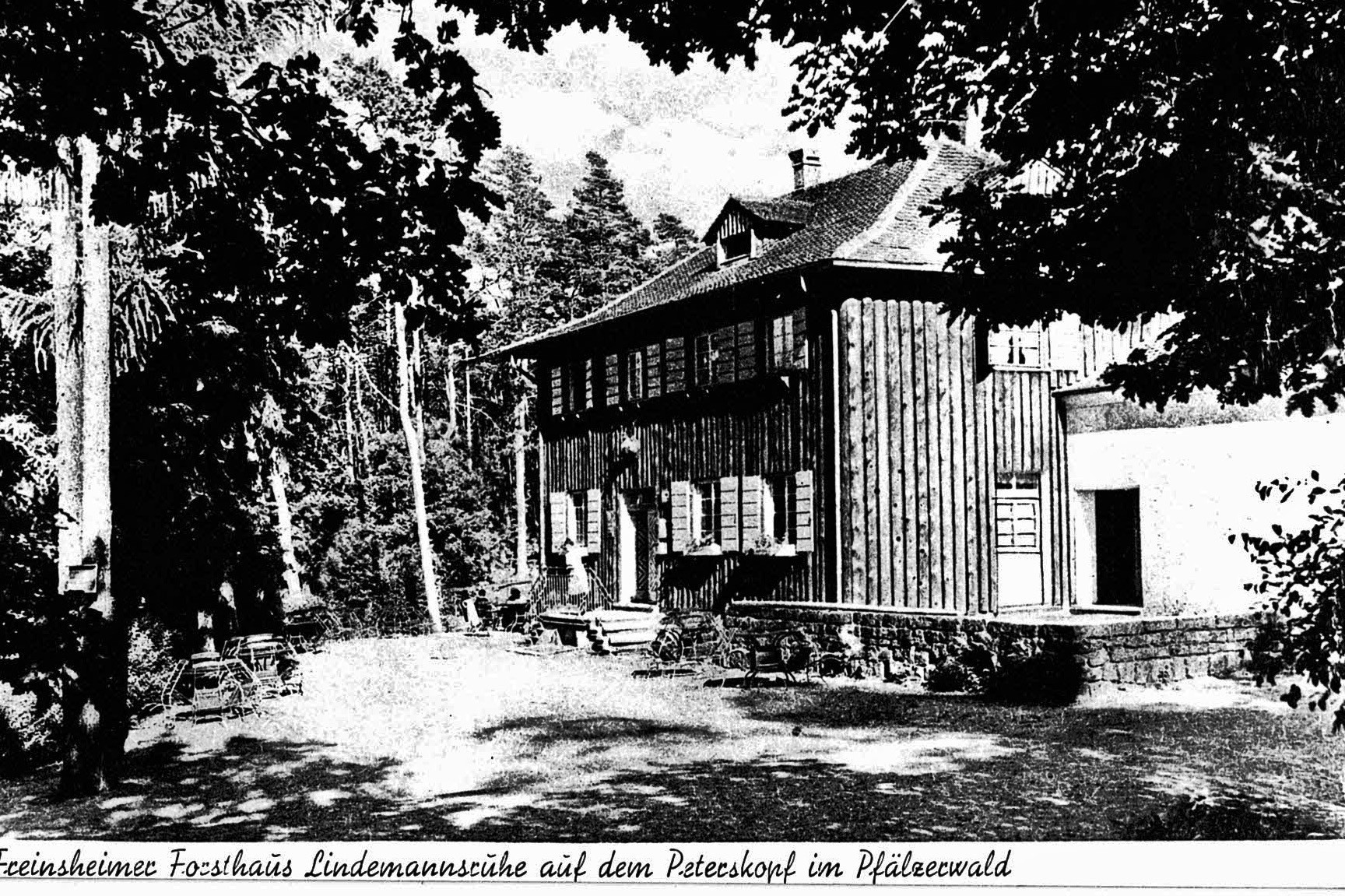 Foto-Sammlung Adolf Krapp, Ordner 13: Forsthaus Lindemannsruhe, 1942 (Museumsgesellschaft Bad Dürkheim e.V. CC BY-NC-SA)