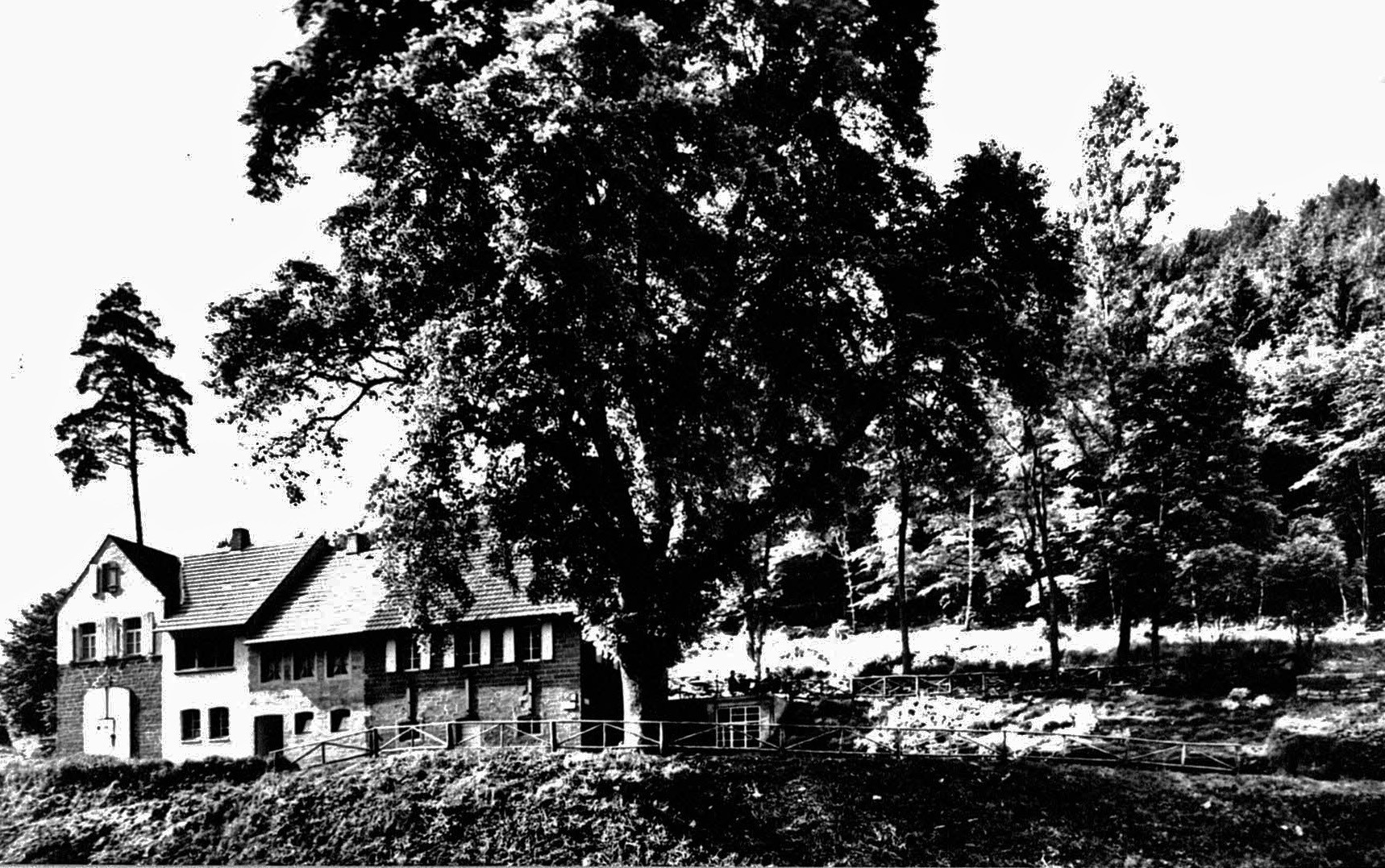 Foto-Sammlung Adolf Krapp, Ordner 13: Forsthaus Saupferch, 1948 (Museumsgesellschaft Bad Dürkheim e.V. CC BY-NC-SA)