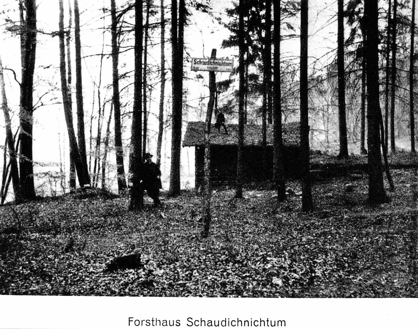 Foto-Sammlung Adolf Krapp, Ordner 13: Forsthaus Schau Dich nicht um, 1904 (Museumsgesellschaft Bad Dürkheim e.V. CC BY-NC-SA)