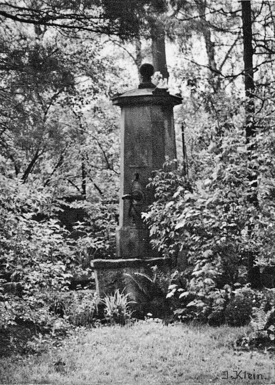 Foto-Sammlung Adolf Krapp, Ordner 13: Garten Dambach, 1904 (Museumsgesellschaft Bad Dürkheim e.V. CC BY-NC-SA)