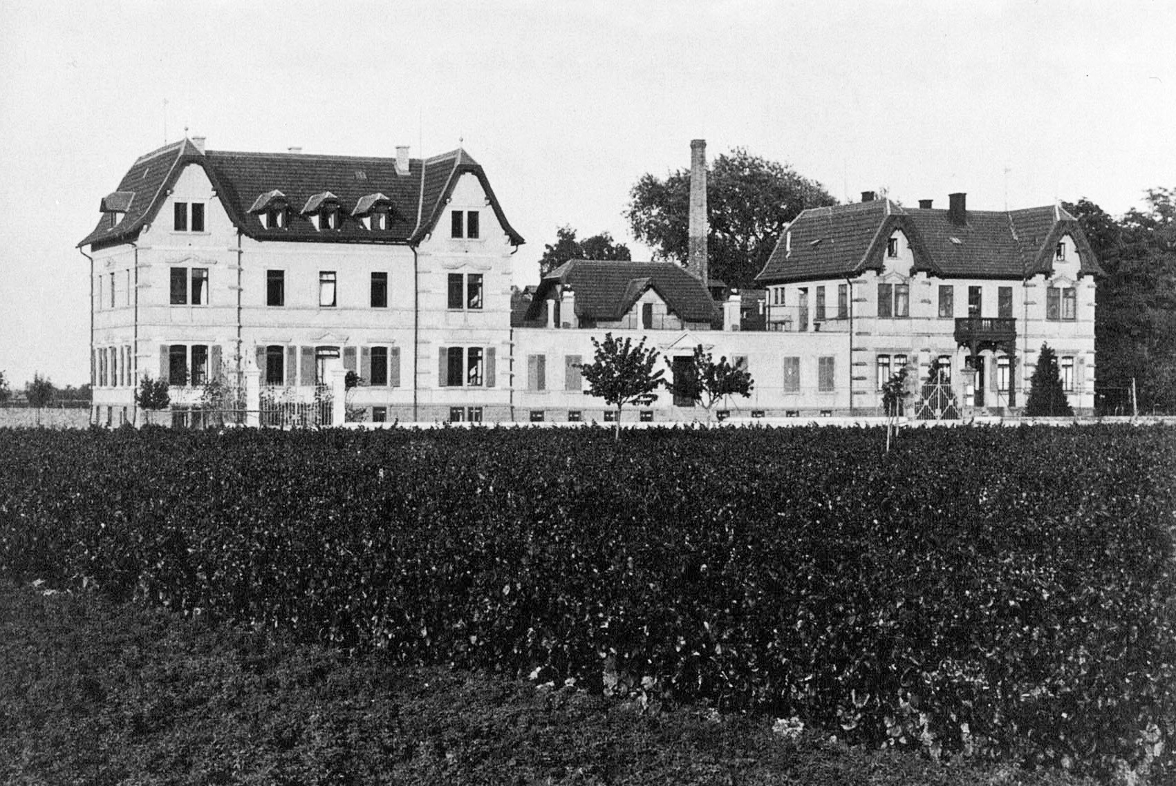 Foto-Sammlung Adolf Krapp, Ordner 14: Ki-Heilstätte, 1935 (Museumsgesellschaft Bad Dürkheim e.V. CC BY-NC-SA)