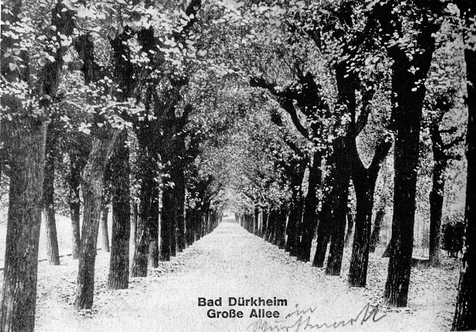 Foto-Sammlung Adolf Krapp, Ordner 14: Kur-Garten, 1910 (Museumsgesellschaft Bad Dürkheim e.V. CC BY-NC-SA)