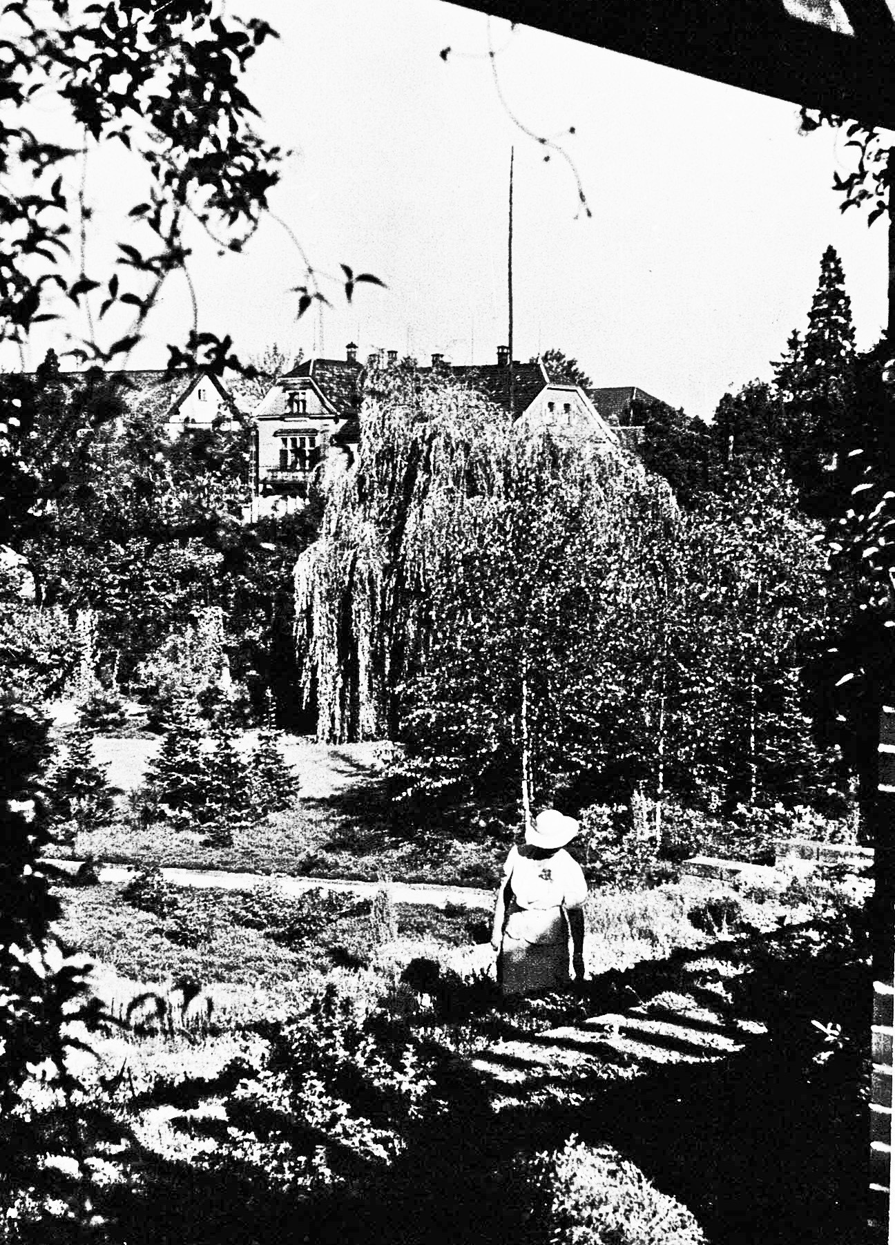 Foto-Sammlung Adolf Krapp, Ordner 14: Kur-Garten, 1935 (Museumsgesellschaft Bad Dürkheim e.V. CC BY-NC-SA)