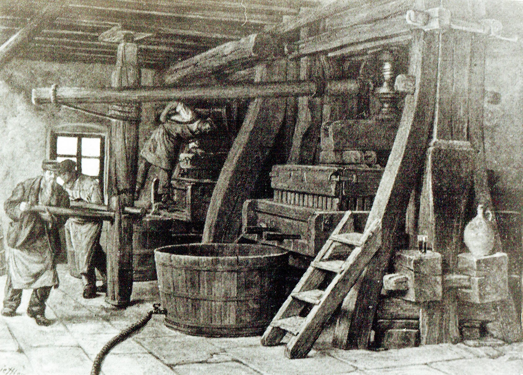 Foto-Sammlung Adolf Krapp, Ordner 16: Wein-Keltern, 1900 (Museumsgesellschaft Bad Dürkheim e.V. CC BY-NC-SA)