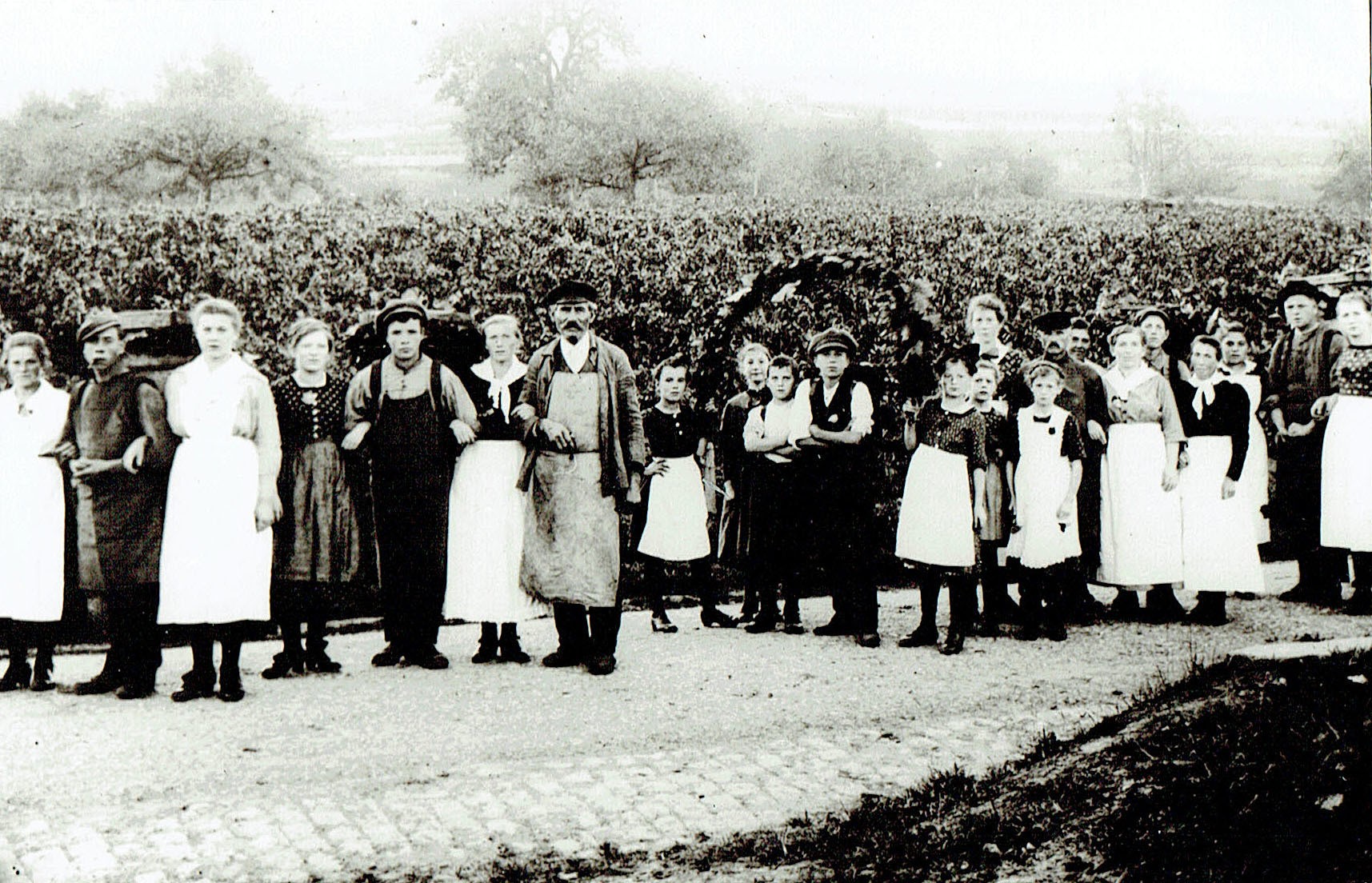Foto-Sammlung Adolf Krapp, Ordner 16: Winzerfest, 1921 (Museumsgesellschaft Bad Dürkheim e.V. CC BY-NC-SA)