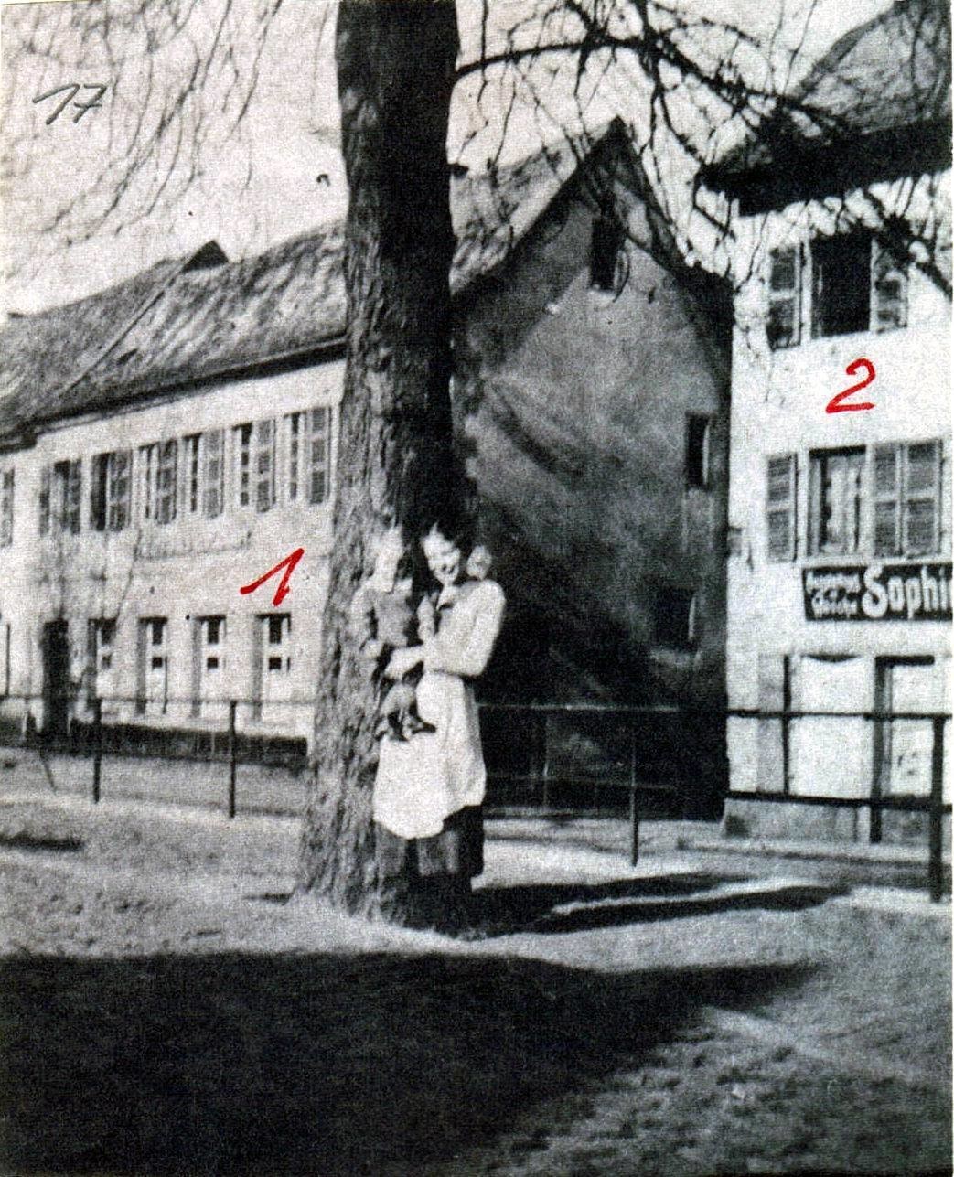 Foto-Sammlung Adolf Krapp, Ordner 3: Obermarkt, 1934 (Museumsgesellschaft Bad Dürkheim e.V. CC BY-NC-SA)
