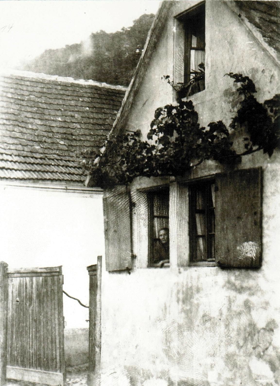 Foto-Sammlung Adolf Krapp, Ordner 4: Hinterbergstraße, 1931 (Museumsgesellschaft Bad Dürkheim e.V. CC BY-NC-SA)