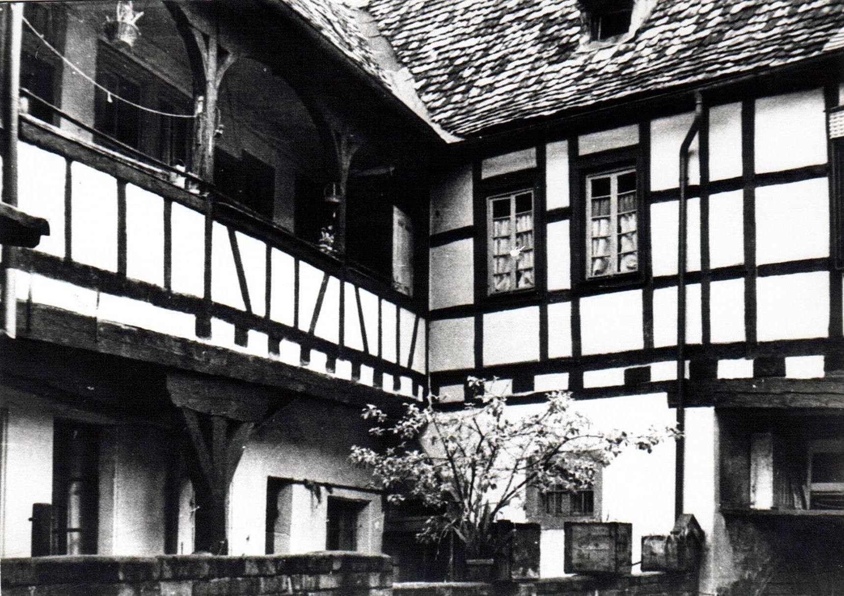 Foto-Sammlung Adolf Krapp, Ordner 5: Wachenheimer Straße (heute Weinstr. Süd), 1925 (Museumsgesellschaft Bad Dürkheim e.V. CC BY-NC-SA)