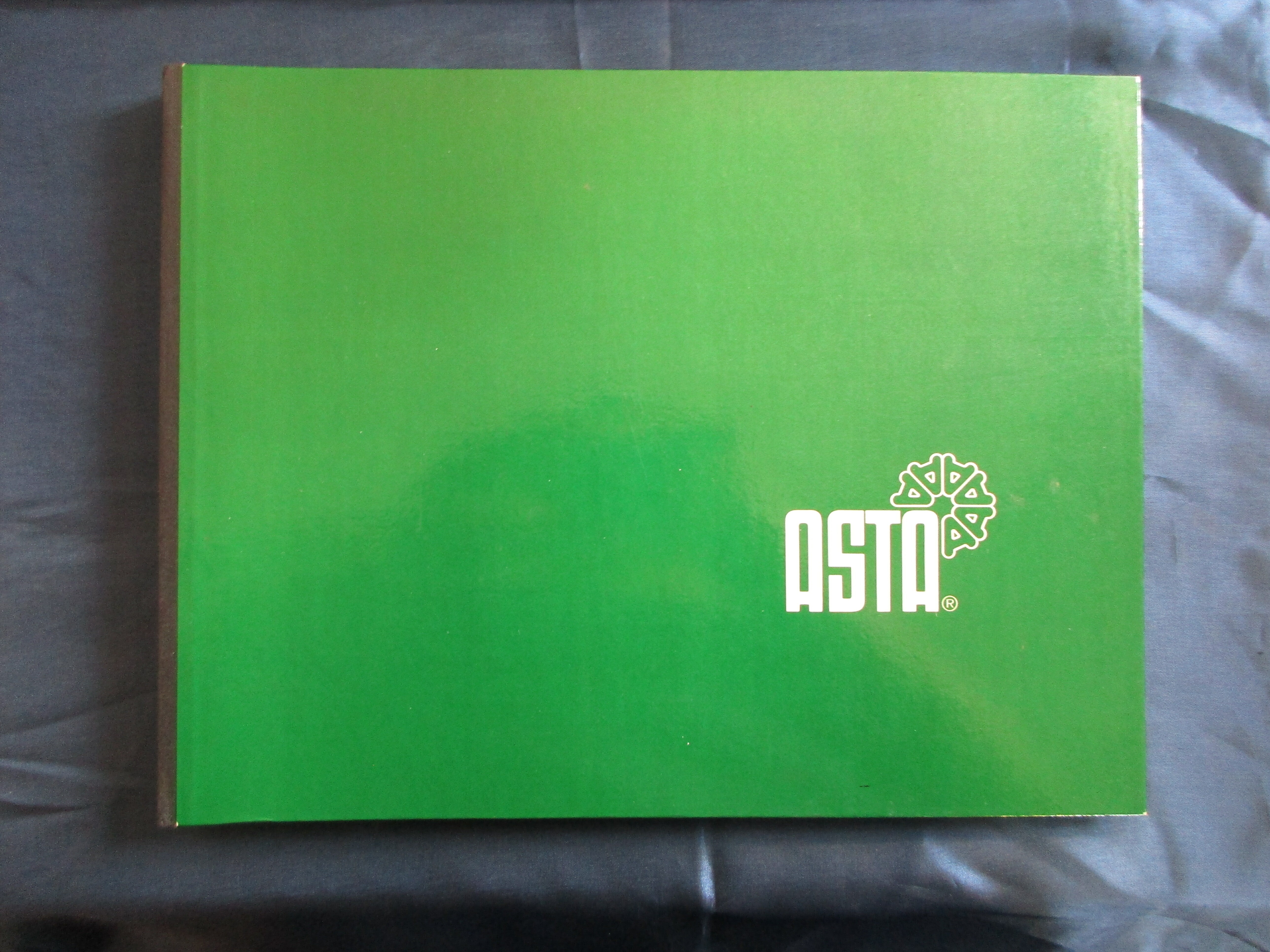 Werberingbuch „ASTA“ (Museum unterm Trifels CC BY-NC-SA)
