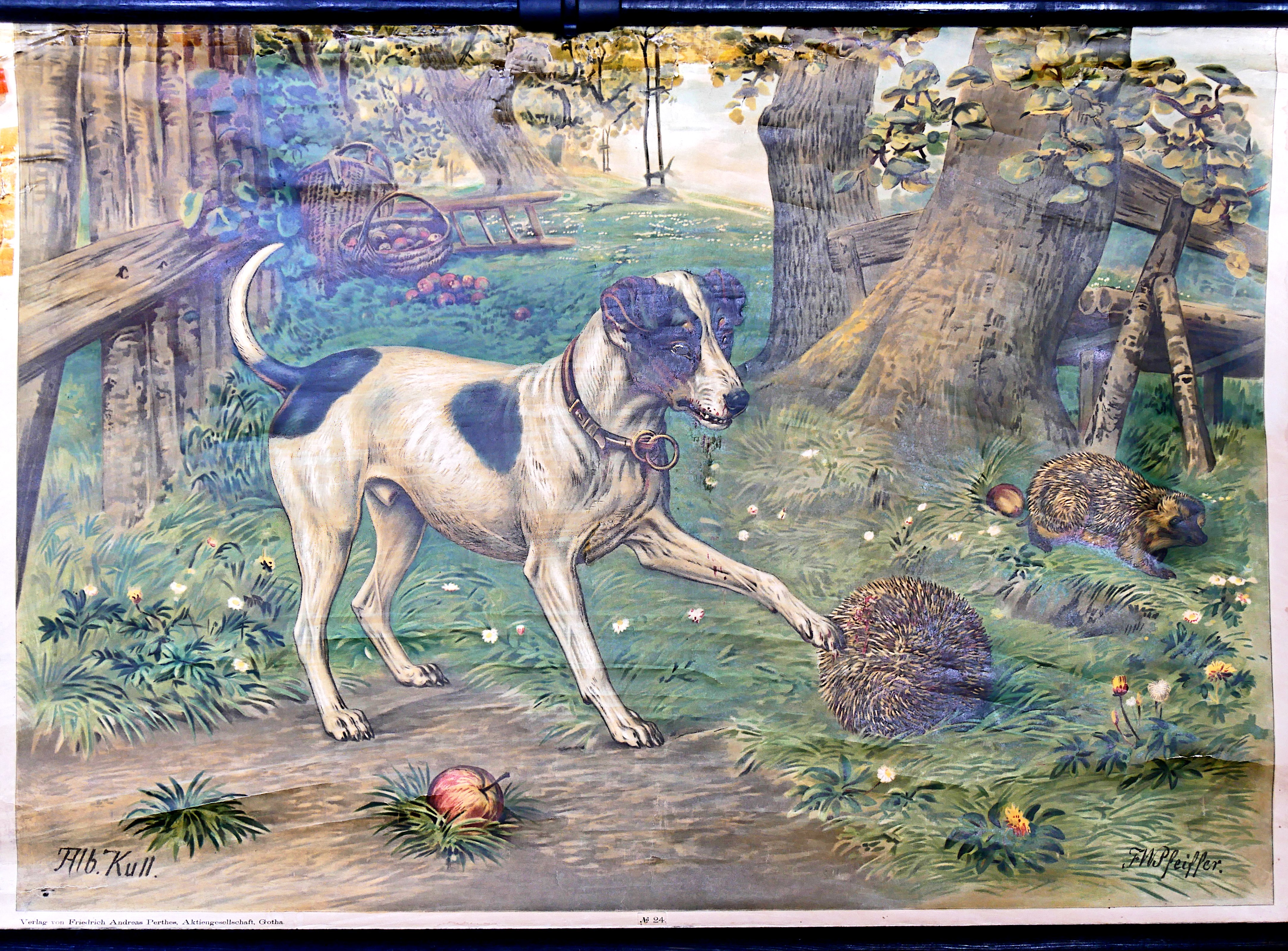 Schulwandtafel Hund und Igel (Freilichtmuseum Roscheider Hof CC0)