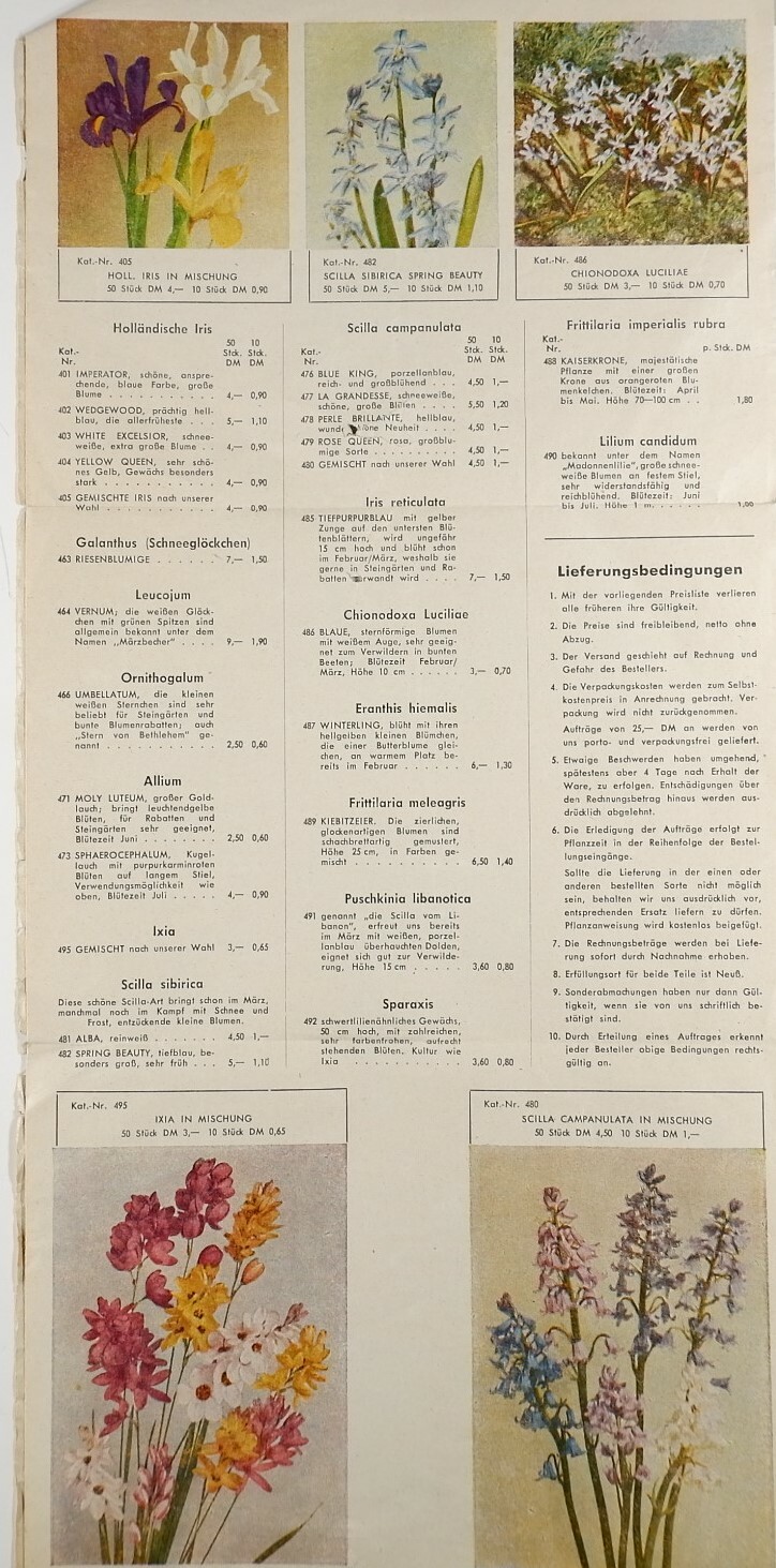 Werbeblatt: Rheinische Blumenzwiebel Kulturen (Volkskunde- und Freilichtmuseum Roscheider Hof RR-F)