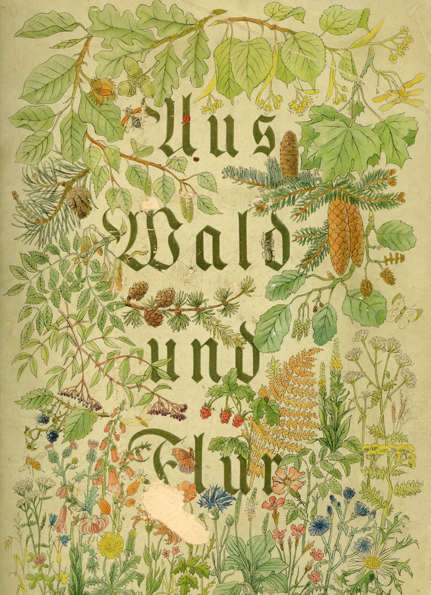 Sammelalbum "Aus Wald und Flur" Teil 2 - Pflanzen unserer Heimat (Volkskunde- und Freilichtmuseum Roscheider Hof CC0)
