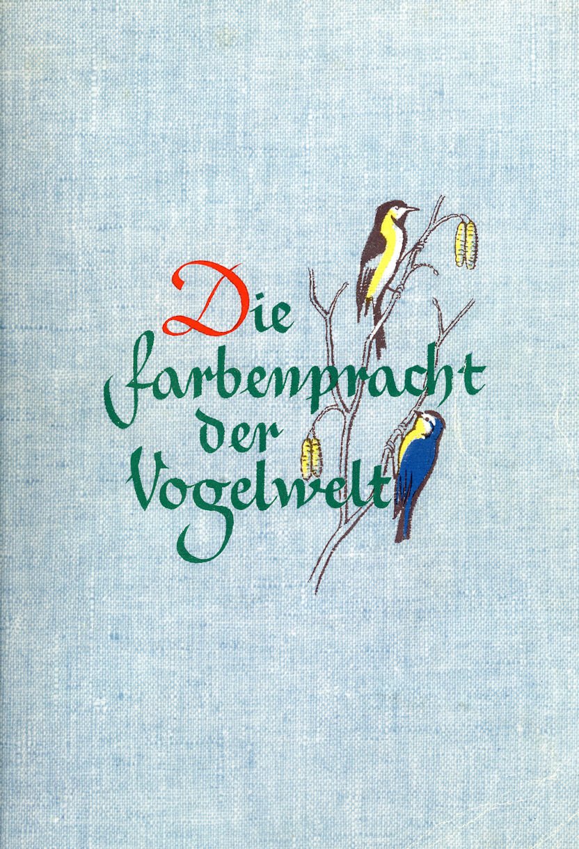 Die Farbenpracht der Vogelwelt (Volkskunde- und Freilichtmuseum Roscheider Hof CC0)