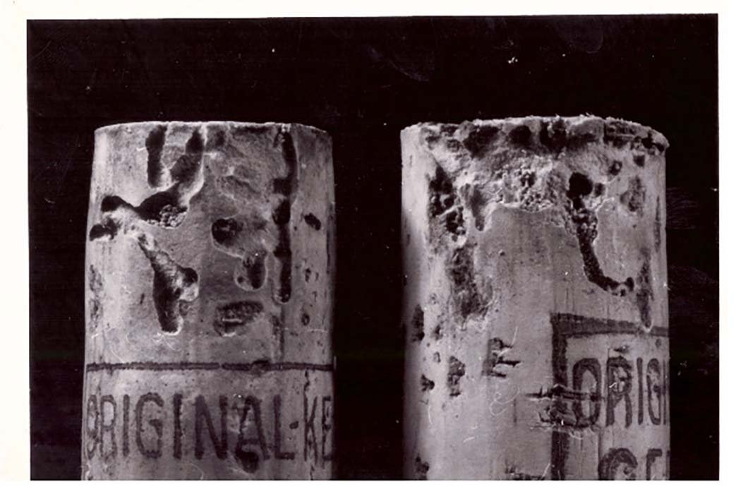 Foto Weinkorken durch Schädlinge angefressen (Freilichtmuseum Roscheider Hof CC0)