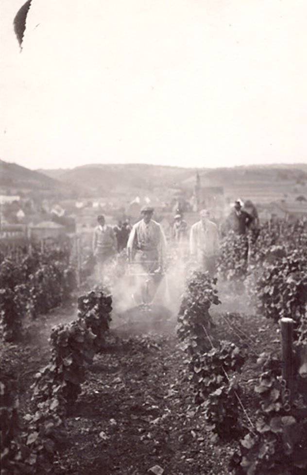 Foto Arbeiter im Weinberg beim Spritzen (Freilichtmuseum Roscheider Hof CC0)