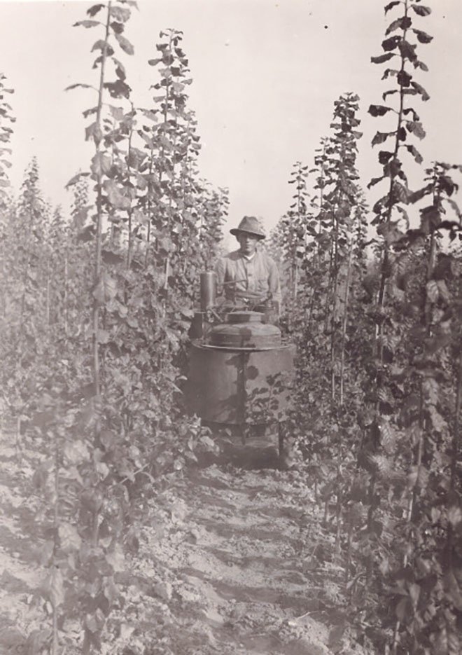 Foto Arbeiter mit Maschine zwischen Spalieren (Freilichtmuseum Roscheider Hof CC0)